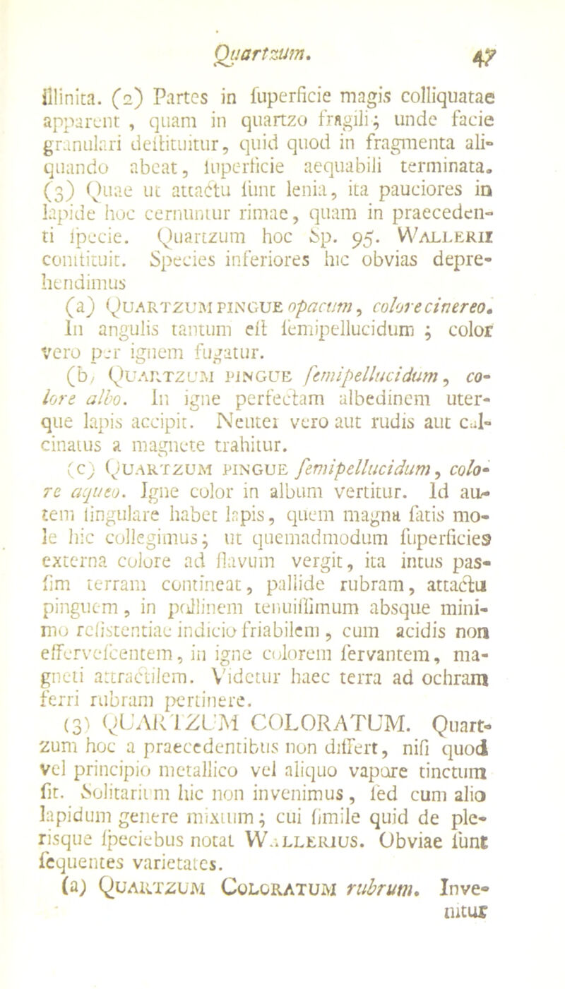 Quartzum. 4? lllinita. (2) Partes in fuperficie magis colliquatae apparent , quam in quartzo fragili ; unde facie granulari detfituitur, quid quod in fragmenta ali- quando abeat, iuperticie aequabili terminata. (3) Quae ut atcaftu Hinc lenia, ita pauciores ia lapide hoc cernuntur rimae, quam in praeceden- ti ipecie. Quartzum hoc bp. 95. Wallerii comtituit. Species inferiores hic obvias depre- hendimus (a) Quartzum pingue opacum, colore cinereo. In angulis tantum ell lemipellucidum ; color vero per ignem fugatur. (b/ Quartzum pingue fem i pellaci dum, co- lore albo. In igne perfectam ulbedincm uter- que lapis accipit. Neuter vero aut rudis aut cal- cinaius a magnete trahitur. (c) Quartzum pingue femipellucidum, colo- re acquto. Igne color in album vertitur. Id au- tem lingulare habet lapis, quem magna littis mo- le hic collegimus; ut quemadmodum fuperficies externa colore ad flavum vergit, ita intus pas- fim terram contineat, pallide rubram, attactu pinguem, in poUinem tenuillimum absque mini- mo relistentiae indicio- friabilem , cum acidis non effervelcentem, in igne colorem fervantem, ma- gneti attractilem. Videtur haec terra ad ochram ferri rubram pertinere. (3) QUARTZUM COLORATUM. Quart- zum hoc a praecedentibus non differt, nifi quod vel principio metallico vel aliquo vapore tinctum fit. Solitarium hic non invenimus, led cum alio lapidum genere mixtum; cui fimile quid de ple- risque Ipeciebus notat W..lleiuus. Obviae iimt fequentes varietates. (a; Quartzum Coloratum rubrum. Inve- nitur