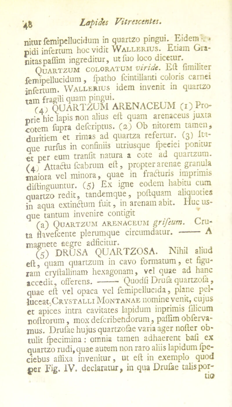 nitur femipellucidum in quartzo pingui. Eidem -. > pidi infertum hoc vidit Wallerius. Etiam Gra- jiitaspaffim ingreditur, utfuo loco dicetur. Quartzum coloratum viride. Eft fimuiter femipellucidum, fpatho fcintillanti coloris carnei infertum. Wallerius idem invenit in quartzo ta™4jQuartzum'arenaceum «Pro- t>rie hic lapis non alius eft quam arenaceus juxta cotem fupra defcriptus. (2) Ob nitorem tamen , duritiem et rimas ad quartza refertur. (3) Ita- que rurfus in confiniis utriusque fpeciei ponitur ct per eum tranfit natura a cote ad quartzum. (A Attactu fcabrum eft, propter arenae granula rnaiora vel minora, quae in fracfturis imprimis diftinguuntur. (5) E* igne eodem hab?tu cam quartzo redit, tandemque, poftquam aliquoties in aqua extindlum fuit, in arenam abit. Huc us- que tantum invenire contigit (a) Quartzum arenaceum grifeum. Cru- ta fhvefcente plerumque circumdatur. A magnete aegre adficitur. (5) DRUSA QUARTZOSA. Nihil aliud eft, quam quartzum in cavo formatum, et figu- ram cryftallinam hexagonam, vel quae ad hanc accedit, offerens. Quodfi Drufa quartzofa, quae eft vel opaca vel femipellucida, plane pel- luceat. Crystalli Montanae nomine venit, cujus et apices intra cavitates lapidum inprimis filicum roftrorum, mox defcribehdorum, paffim obferva- mus. Drufae hujus quartzofae varia ager nofter ob- tulit fpecimina: omnia tamen adhaerent bafi ex quartzo rudi, quae autem non raro aliis lapidum fpe- ciebus affixa invenitur, ut eft in exemplo quod per Fig. IV. declaratur, in qua Drufae talispor- * tio