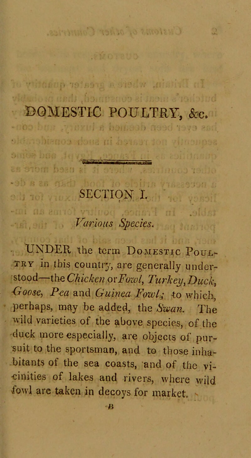 DOMESTIC POULTRY, &c. SECTION I. Various Species. UNDER the term Domestic Poul- try in this country, are generally under- stood— the Chicken or Fowl, Turkey, Duck, -Goose, Pea and Guinea Fowl.; to which, perhaps, may be added, the Swan. The wild varieties of the above species, of the -duck more especially, are objects of pur- suit to the sportsman, and to those inha- bitants of the sea coasts, and of the vi- cinities of lakes and rivers, where wild fowl are taken in decoys for market. - B