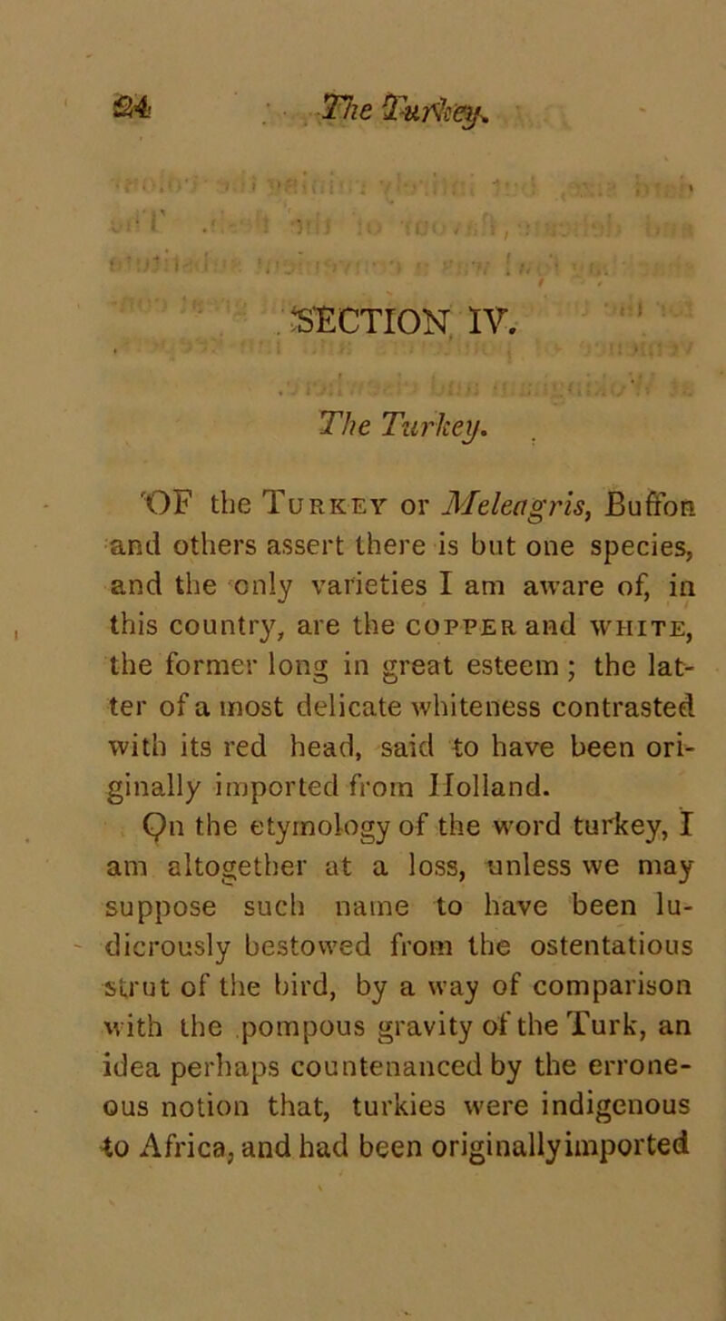 ; •/ ■ ■ , - • ■ , . . < nflt ; 1<VT- ■ ■> i ••• 'll !/. ■ ■ I,. t ' . ■SECTION IV. * • • • • t r The Turkey. 'OF the Turkey or Meleagris, Bufron and others assert there is but one species, and the only varieties I am aware of, in this country, are the copper and white, the former long in great esteem ; the lat- ter of a most delicate whiteness contrasted with its red head, said to have been ori- ginally imported from Holland. Qn the etymology of the word turkey, I am altogether at a loss, unless we may suppose such name to have been lu- dicrously bestowed from the ostentatious strut of the bird, by a way of comparison with the pompous gravity of the Turk, an idea perhaps countenanced by the errone- ous notion that, turkies were indigenous to Africa, and had been originallyimported