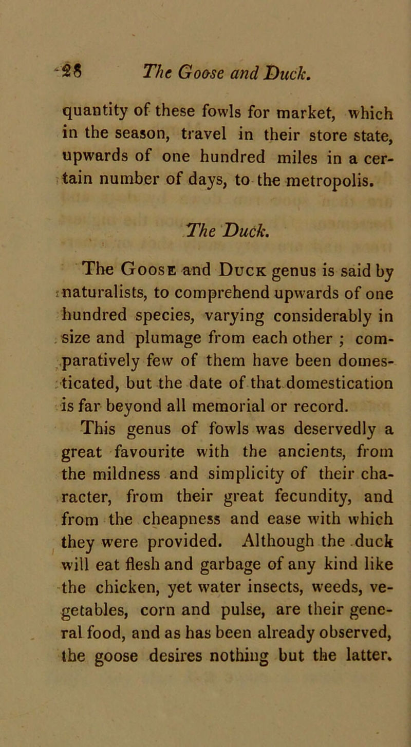 *28 The Goose and Duck. quantity of these fowls for market, which in the season, travel in their store state, upwards of one hundred miles in a cer- tain number of days, to the metropolis. The Duck. The Goose and Duck genus is said by naturalists, to comprehend upwards of one hundred species, varying considerably in size and plumage from each other ; com- paratively few of them have been domes- ticated, but the date of that domestication is far beyond all memorial or record. This genus of fowls was deservedly a great favourite with the ancients, from the mildness and simplicity of their cha- racter, from their great fecundity, and from the cheapness and ease with which they were provided. Although the duck will eat flesh and garbage of any kind like the chicken, yet water insects, weeds, ve- getables, corn and pulse, are their gene- ral food, and as has been already observed, the goose desires nothing but the latter.