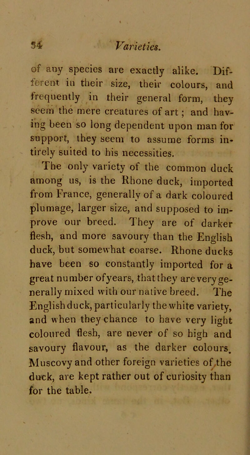 of any species are exactly alike. Dif- ferent in their size, their colours, and frequently in their general form, they seem the mere creatures of art; and hav- ing been so long dependent upon man for support, they seem to assume forms in- tirely suited to his necessities. The only variety of the common duck among us, is the Rhone duck, imported from France, generally of a dark coloured plumage, larger size, and supposed to im- prove our breed. They are of darker flesh, and more savoury than the English duck, but somewhat coarse. Rhone ducks have been so constantly imported for a great number ofyears, that they are very ge- nerally mixed with our native breed. The English duck, particularly the white variety, and when they chance to have very light coloured flesh, are never of so high and savoury flavour, as the darker colours. Muscovy and other foreign varieties of,the duck, are kept rather out of curiosity than for the table.