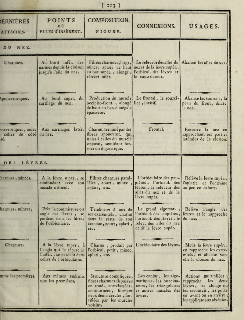 )ERNIÉRES ATTACHES. POINTS O II ELLES s’insèrent. COMPOSITION. FIGURE. CONNEXIONS. USAGES. DU NEZ. Charnues. Au bord infér. des narines depuis la cloison jusqu’à l’aile du nez. Fibres charnues;large, mince, aplati de haut' en bas super., alongé ,, rétréci infér. Le releveur des ailes du nez et de la lèvre supér., l’orbicul. des lèvres et le constricteur. Abaissé les ailes du nez. ^ponevrotiques. Au bord super, du cartilage du nez. Production du muscle occipito-front. , alongé de haut en bas, d’inégale épaisseur. Le frontal, le sourci- lier , incisif. Abaisse les sourcils, la peau du front, dilate le nez. ^névrotiques, unies celles du côté sé. Aux cartilages latér. du nez. Charnu, terminé par des fibres aponevrot. qui unies à celles du muscle opposé , semblent for- mer un digastrique. Frontal. Resserre le nez en rapprochant ses parties latérales de la cloison. DES L È V R £ S. - harnues, minces. A la lèvre super., se confondant avec son muscle orbicul. Fibres charnues paral- lèles , court , mince , aplati, etc. L’orbiculaire des pau- pières , l’orbicul. des lèvres , le releveur des ailes du nez et de la lèvre supér. Relève la lèvre supér., | l’aplatit et l’entraîne un peu en dehors. barnues > minces. Près la commissure ou angle des lèvres , se perdent dans les fibres de l’orbiculaire. Tendineux à une de ses extrémités, charnu dans le reste de son étendue, court, aplati , etc. Le grand zigomat. , l’orbicul. des paupières, l’orbicul. des lèvres , le relev. des ailes du nez et de la lèvre supér. Relève l’angle des lèvres et le rapproche du nez. Charnues. A la lèvre super, à l’angle qui la sépare de l’infér., se perdent dans celles de l’orbiculaire. Charnu , produit par l’orbicul. petit, mince, aplati , etc. L’orbiculaire des lèvres. Meut la lèvre supér., en rapproche les extré- mités , et abaisse vers elle la cloison du nez. mme les premières. Aux mêmes endroits que les premières. Structure compliquée ; fibres charnues disposée s en rond, entrelassées , contournées , formant deux demi-cercles, for- tifiées par les muscles voisins. Les canins , les zigo- mariques, les buccina- teurs, les triangulaires et autres muscles des lèvres. Actions multipliées ; rapproche les deux lèvres, les alongé ou les racourcit, les porte en avant ou en arrière, les applique aux alvéoles, i