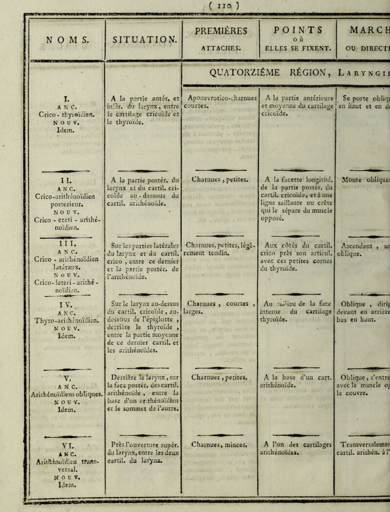 B«.l*JilWRa^CeWBWtllLWin fWT J' V^JBligBMmUB sasMBwrRTsnTVM N O M s. SITUATION. I. A N C. Crico- thyioïiiien. N O U V. Idem. I I. A N C. Crico-arithétioïdlen posrcrieiir. N O U V. Crico - creti - arithé- noïdieii. III. A N C. Crico - arivhéiroïdien latéraux. N O U V. Crico- latei'i - arithé - noïdicn. I V. A N C. Thyro-ariihénoïdicn. N O U V. Idem. ' V. ANC. Arithénoïdiens oblifines. N O U V. Idem. YI. ANC. Aritflinoïdiert tfafls-- versal. N O U V. Idem. le thyroïde. A la partie poster, du larynx et du cartil. au - dessous du ariihciioïde. coïde cartil. Sur les parties latérales du larynx et du cartil. crico , entre ce dernier et la partie poster, de i’arithénoïde. Sur le larynx au-dessus dessous de l’épiglotte derrière le thyroïde entre la partie moyenne de ce dernier cartil. et les arithénoïdes. Derrière le larynx,sur la face poster, des cartil, arithénoïde , entre la base d’un ar.thénoïdien et le sommet de i’autre. Près l’ouverture super, du larynx, entre les deux cartil. du larynx. PREMIÈRES ATTACHES; POINTS O ù ELLES SE FIXENT. QUATORZIÈME RÉGION, Aponevroticc-charnues courtes. A la partie antérieure 1 et moyenne du cartilage ! cricûïde. Charnues , petites. A la facette longitud. de la partie postér. du carül. cricoïde, et à une ligne saillante ou crête qui le sépare du muscle opposé. Charnues, petites, légè- rement tendin. Aux côtés du cartil. crico près son articul. avec ces petites cornes du thyroïde. Charnues , courtes , larges. An Uiineu de la face interne du cartilage thyroïde. Charnues ,petites. A la base d’un cart. arithénoïde. Charnues, minces. A l’un des cartilages arithénoïdes. MARC H ou DIRECTI Monte oblique! Ascendant oblique. ur Oblique , diri^ devant en arrière bas en haut. Oblique, s’entre avec le muscle oj le couvre. Transversalemer cartil. arithén. àl’