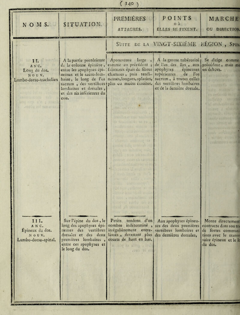 C MO ) NOMS. II. A N C. Long du dos. N O U V. Lumbo-dorso-trachelien II I. ANC. Épineux du dos. N O U V. Lunibo-dorsü-spinal. SITUATION. PREMIERES ATT.^.CH£S. POINTS O Ll ELLES S£ riX£NT. MARCHE ou DIRECTION. Suite de la VINGT-SIXIÈME RÉGION , Spin, A la partie postérieure | Aponévrose la A la grosse tubérosité de la coloiuie épinière , ’ comme au précédent ; | de l’os des îles , aux entre les apophyses épi- ‘ faisceaux épais de fibres j apophyses épineuses neuses et le sacro-loin- j charnues , puis tendi- i supérieures de l’os baire , le long de l’os ' neuses, longues, aplaties, j sacrum , à toutes celles plus ou moins étroites, des vertèbres lombaires et de la dernière dorsale. le long de sacrum , des vertèbres lombaires et dorsales , et des six inférieures du cou. Sur l’épine du dos , le long des apophyses épi- neuses des vertèbres dorsales et des deux premières lombaires , entre ces apophyses et le long du dos. Petits tendons d’un Aux apophyses épineu nombre indéterminé , ’ ses des deux premières irrégulièrement entre- vertèbres lombaires et lassés , devenant plus * des dernières dorsales, courts de haut en bas. Se dirige comme précédent, mais mo en dehors. Monte directement contracte d.ins sontra de fortes communii tions avec le transvi saire épineux et le lo du dos.