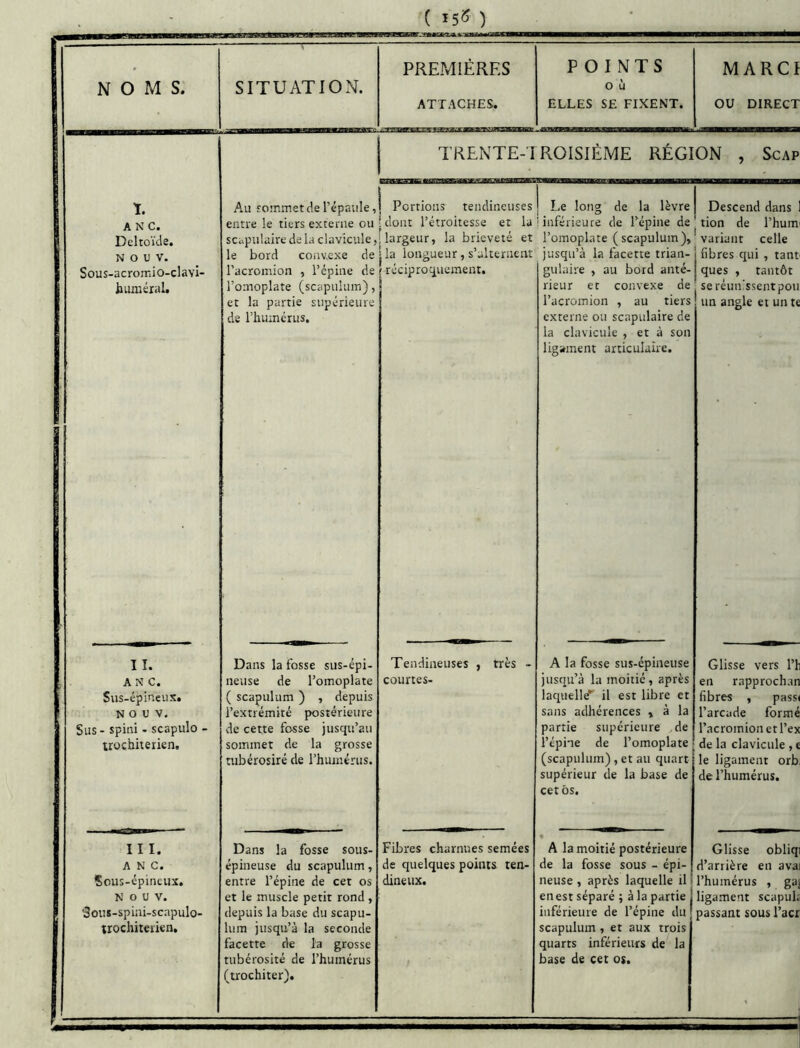( ^5^ ) NOMS. SITUATION. PREMIÈRES ATTACHES. POINTS 0 ù ELLES SE FIXENT. MARC! ou DIRECT TRENTE-TROISIÈME RÉGION , Scap ï. A N C. Deltoïde. N O U V. Sous-acromio-clavl- huméial. Au sommet de l’épaule, eiitte le tiers externe ou scapulaire de la clavicule, le bord convexe de l’acromion , l’épine de l’omoplate (scapulum), et la partie supérieure de rhumérus. j Portions tendineuses 1 dont l’étroitesse et la largeur, la brièveté et |la longueur, s’alternent ! réciproquement. j Le long de la lèvre i inférieure de l’épine de l’omoplate (scapulum), jusqu’à la facette trian- gulaire , au bord anté- rieur et convexe de l’acromion , au tiers externe ou scapulaire de la clavicule , et à son ligament articulaire. Descend dans tion de l’hum variant celle 1 fibres qui , tant ques , tantôt seréunissentpou un angle et un te II. A N C. Sus-épineux. N O U V. Sus - spini - scapulo - trochheikn. Dans la fosse sus-épi- neuse de l’omoplate ( scapulum ) , depuis l’extrémité postérieure de cette fosse jusqu’au sommet de la grosse tubérosiré de rhurnérus. Tendineuses , très - courtes- A la fosse sus-épineuse jusqu’à la moitié, après laquellcT il est libre et sans adhérences , à la partie supérieure de l’épine de l’omoplate (scapulum), et au quart supérieur de la base de cetôs. Glisse vers l’h en rapprochan fibres , pass» l’arcade formé racromionetl’ex de la clavicule , e le ligament orb de l’humérus. III. ANC. 5ous-épincux. N O U V. 3ous-spini-scapulo- trochiteiien. Dans la fosse sous- épineuse du scapulum, entre l’épine de cet os et le muscle petit rond , depuis la base du scapu- lum jusqu’à la seconde facette de la grosse tubérosité de l’humérus (trochiter). Fibres charnues semées de quelques points ten- dineux. f A la moitié postérieure de la fosse sous - épi- neuse , après laquelle il 1 en est séparé ; à la partie inférieure de l’épine du scapulum , et aux trois quarts inférieurs de la base de cet os. Glisse obliq d’arrière en ava l’humérus , ga: ligament scapul. passant sous l’acr ■