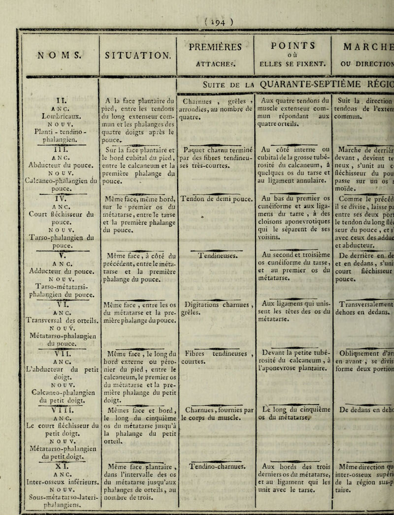 NOMS. SITUATION. PREMIÈRES ATTACHE?. POINTS 0 II ELLES SE FIXENT. MARCHE ou DIRECTION —1 Suite de la QUARANTE-SEPTIÈME RÉGIO II. A N C. Loir.'jricaux. N O U V. Planri - tendino - phalangien. A la face plantaire du pied, entre les tendons du long extenseur com- mun et les phalanges des quatre doigts après le pouce* Charnues , grêles » arrondies, au nombre de quatre. Aux quatre tendons du muscle extenseur com- mun répondant aux quatre orteils. Suit la , direction tendons de Pexten commun. 111. A N C. Abducteur du pouce. N O U V. Calcaneo-ph.nlangien du pouce. Sur la face plantaire et le bord cubital du pied, entre le calcanéum et la première phalange du pouce. Paquet charnu terminé par des fibres tendineu- ses très-courtes. Au côté interne ou cubital de la grosse tubé- rosité du calcanéum, à quelques os du tarse et au ligament annulaire. Marche de derrièr devant, devient te lieux , s’unit au c fléchisseur du pou passe sur un os moïde. ' IV. ANC. Court fléchisseur du pouce. N 0 U V. 7’arso-phalangien du pouce. Même face, même bord, sur le - premier os du métatarse, entre le tarse et la première phalange du pouce. Tendon de demi pouce. Au bas du premier os cunéiforme et aux liga- mens du tarse , à des cloisons aponevrotiques qui le séparent de ses voisins. Comme le précéd il se divise, laisse ps entre ses deux port le tendon du long flé( seur du pouce , et s avec ceux des adduc et abducteur. V. A N C. Adducteur du pouce. N 0 U V. Tarso-métatarsi- phalangieii du pouce. Même face , à côté du précédant, entre le méta- tarse et la première phalairge du pouce. Tendineuses. Au second et troisième os cunéiforme du tarse, et au premier os du métatarse. De derrière en de et en dedans, s’uni court fléchisseur pouce. VI. ANC. Transversal des orteils. N 0 U V. Métatarso-phalangien du pouce. Même face , entre les os du métatarse et la pre- mière phalange dupouce. Digitations charnues , grêles. Aux ligamens qui unis- sent les têtes des os du métatarse. Transversalement dehors en dedans. VH. ANC. L’abducteur du petit doigt. N O 0 V. Calcaneo-phalangien du petit doigt. Même face , le long du bord externe ou péro- nier du pied , entre le calcanéum, le premier os du métatarse et la pre- mière phalange du petit doigt. Fibres tendineuses , courtes. Devant la petite tubé- rosité du calcanéum, à l’aponevrose plantaire. Obliquement d’ar en avant , se divis forme deux portion VIII. A N C. Le court fléchisseur du petit doigt. N 0 U V. Métatarso-phalangien du petit doigt.. Mêmes face et bord, le long du cinquième os du métatarse jusqu’à la phalange du petit orteil. Charnues,fournies par le corps du muscle. Le long du cinquième os du métatarse. De dedans en deho / X I. ANC. Inter-osseux inférieurs. N O U V. Sous-méta taiso Jateri- phalangiens. Même face plantaire dans l’intervalle des os du métatarse jusqu’aux phalanges de orteils, au j nombre de trois. Tendino-charnues. Aux bords des trois derniers os du métatarse, et au ligament qui les unit avec le tarse. Même direction qu inter-osseux supéri de la région sus-p taire.