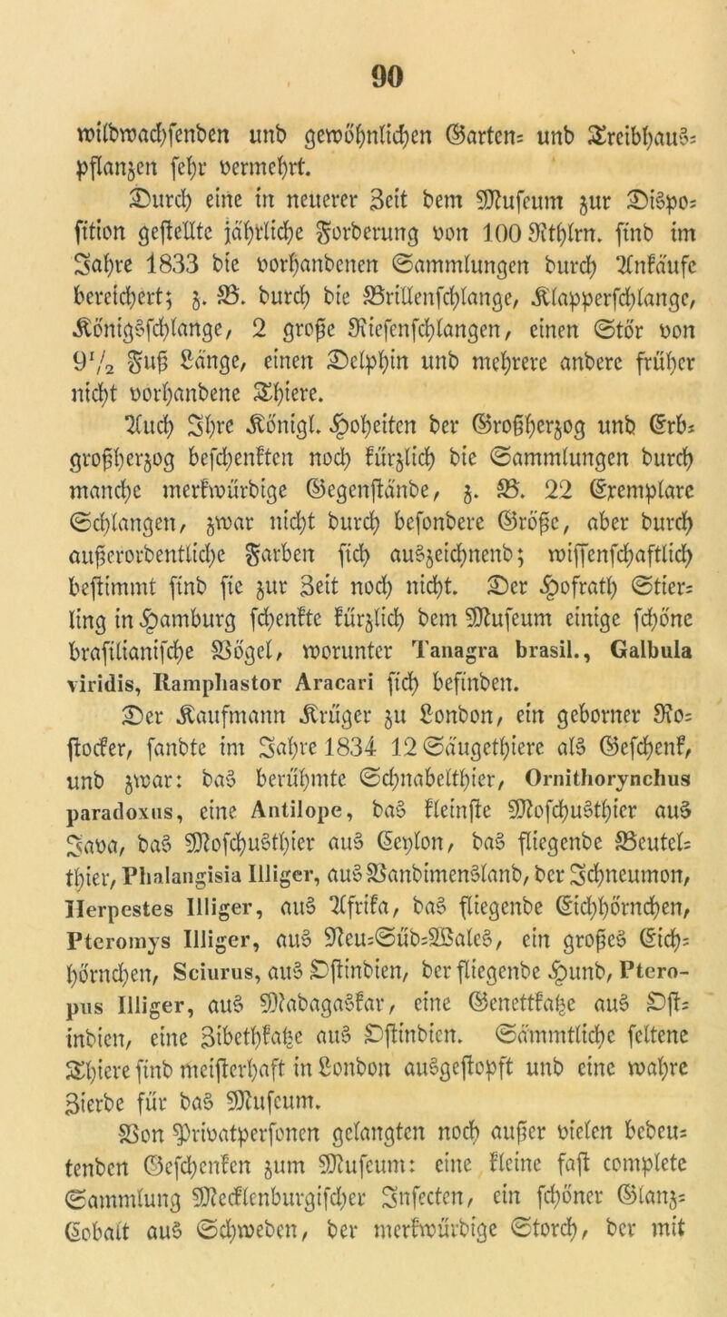 wilbwachfenben unb gewöhnlichen ©artem unb Sreibhauö; pflanjeit fct;r vermehrt. £)urd) eine in neuerer Seit bem SRufeum jur £}i§:po; fttion gesellte jährliche ^orberung Don lOO^thlrn. ftnb im Sabre 1833 bie oorbanbenen Sammlungen burch 2Cnfäufc bereichert; j. 33. burcl) bie S5rtllenferlange, Älapperfchlange, Äönigöfchlange, 2 große Sttefenfchlangen, einen Stör Don 9r/2 $uß Sänge, einen Delphin unb mehrere anberc früher nicht Dorbanbene &htere. 1Cud> Shrc «ftönigl. Roheiten ber ©roßherjog unb ©rb* großbnjog befebenften nod) füglich bie Sammlungen burch manche merfwürbige ©egenjlänbe, 5. 33. 22 ©remplarc Schlangen, jwar nicht burch befonbere ©rößc, aber burch außerorbentltdje Farben fid> auSjeichnenb; wiffenfchaftlich beftimmt ftnb fte jur Seit nod) nicht. 2)cr §ofrath Stier= ling in Hamburg fchenfte fürjltd) bem SDtufeum einige fd;öne braftlianifche Sögel, worunter Tanagra brasil., Galbula viridis, Rampliastor Aracari ftd> befinben. 3>er Kaufmann Krüger $u Sonbon, ein gehonter 3to= ftoefer, fanbte im Sahre 1834 12 Säugethiere al§ ©efcbenF, unb jwar: ba§ berühmte Sd;nabelthier, Ornithorynchus paradoxus, eine Antilope, ba§ fleinßc SlftofcbuStbtcr au§ ^aoa, ba§ SRofchuStbier au§ ©eplon, ba§ fliegenbe 33eutel= tbter, Plmlangisia Illiger, auöSanbtmenölanb, ber Schncumon, Herpestes Illiger, au§ UCfrifa, ba§ fliegenbe ©ichhörnchen, Pteromys Illiger, au§ 9Zeu:Süb=2Bale§, ein großem ©ich- hörnchen, Sciurus, au§ Djtinbien, ber fliegenbe £unb, Ptero- pus Illiger, au§ 9)?abaga§far, eine ©enettfafce au§ £)jts inbien, eine SibcthFabc att§ Dßinbicn. Sämmtlicbc feltenc Spiere ftnb meifterhaft in Sonbott auSgeftopft unb eine wahre Sterbe für ba$? SÖRtfcum. Son ^prioatperfonen gelangten noch außer Dielen bebeus tenben ©efehenfen jum SRufeum: eine Fleine faft complete (Sammlung 9Re<flenburgifd;er Snfecten, ein fchöner ©lanjs ©obalt au§ Schweben, ber merfwürbige Storch, ber mit