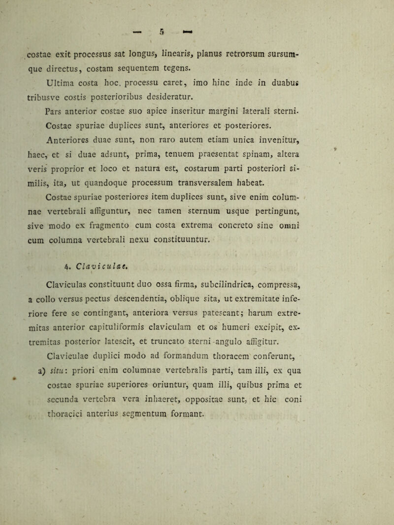 costae exit processus sat longus, linearis, planus retrorsum sursum- que directus, costam sequentem tegens. Ultima costa hoc. processu caret, imo hinc inde in duabus tribusve costis posterioribus desideratur. Pars anterior costae suo apice inseritur margini laterali sterni. Costae spuriae duplices sunt, anteriores et posteriores. Anteriores duae sunt, non raro autem etiam unica invenitur, haec, et si duae adsunt, prima, tenuem praesentat spinam, altera veris proprior et loco et natura est, costarum parti posteriori si- milis, ita, ut quandoque processum transversalem habeat. Costae spuriae posteriores item duplices sunt, sive enim colum- nae vertebrali affiguntur, nec tamen sternum usque pertingunt, sive modo ex fragmento cum costa extrema concreto sine omni cum columna vertebrali nexu constituuntur. 4. Claviculae, Claviculas constituunt duo ossa firma, subcilindrica, compressa, a collo versus pectus descendenda, oblique sita, ut extremitate infe- riore fere se contingant, anteriora versus patescant; harum extre- mitas anterior capituliformis claviculam et os humeri excipit, ex- tremitas posterior latescit, et truncato sterni-angulo affigitur. Claviculae duplici modo ad formandum thoracem conferunt, a) sitir. priori enim columnae vertebralis parti, tam illi, ex qua costae spuriae superiores oriuntur, quam illi, quibus prima et secunda vertebra vera inhaeret, oppositae sunt, et hic coni thoracici anterius segmentum formant.