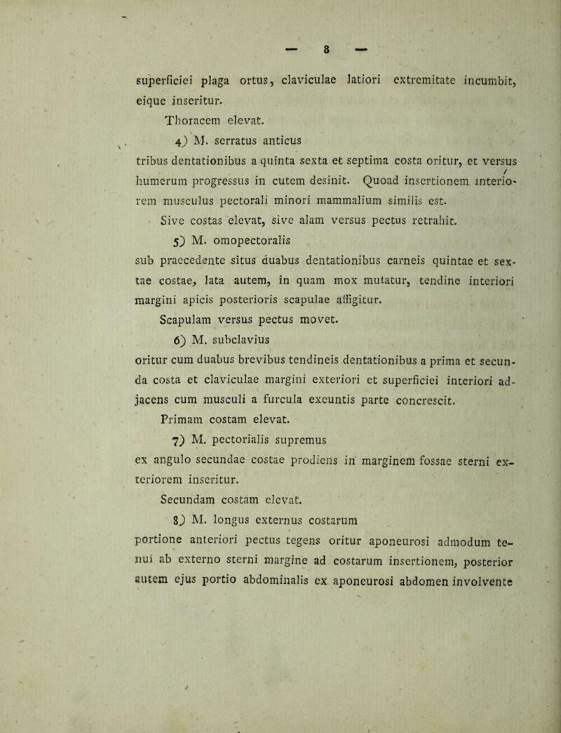 superficiei plaga ortus, claviculae latiori extremitate incumbit, eique inseritur. Thoracem elevat. 4) M. serratus anticus tribus dentationibus a quinta sexta et septima costa oritur, et versus / humerum progressus in cutem desinit. Quoad insertionem interio- rem musculus pectorali minori mammalium similis est. ' Sive costas elevat, sive alam versus pectus retrahit. 5) M. omopectoralis sub praecedente situs duabus dentationibus carneis quintae et sex- tae costae, lata autem, in quam mox mutatur, tendine interiori margini apicis posterioris scapulae affigitur. Scapulam versus pectus movet. 6) M. subclavius oritur cum duabus brevibus tendineis dentationibus a prima et secun- da costa et claviculae margini exteriori et superficiei interiori ad- jacens cum musculi a furcula exeuntis parte concrescit. Primam costam elevat. 7) M. pectorialis supremus ex angulo secundae costae prodiens in marginem fossae sterni ex- teriorem inseritur. Secundam costam elevat. 83 IM- longus externus costarum portione anteriori pectus tegens oritur aponeurosi admodum te- nui ab externo sterni margine ad costarum insertionem, posterior autem ejus portio abdominalis ex aponeurosi abdomen involvente