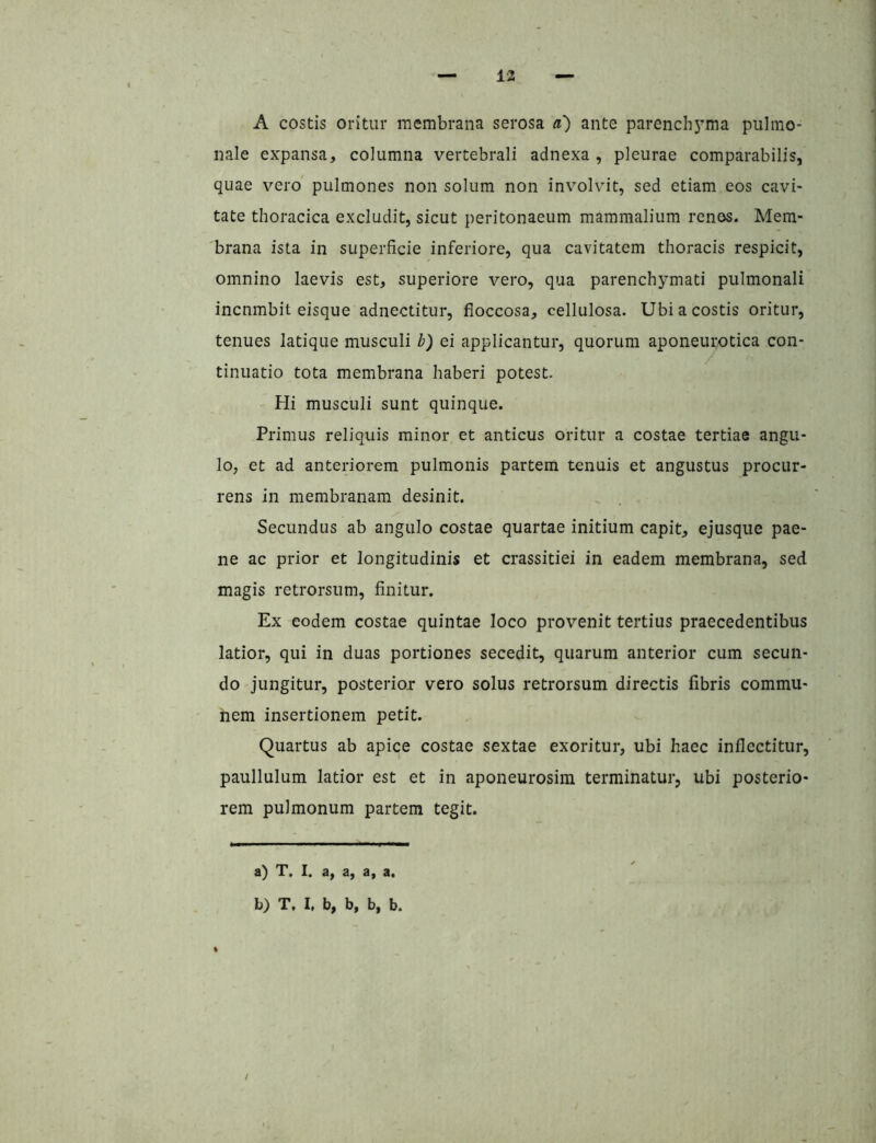 A costis oritur membrana serosa a') ante parench3’ma pulmo- nale expansa, columna vertebrali adnexa , pleurae comparabilis, quae vero pulmones non solum non involvit, sed etiam eos cavi- tate thoracica excludit, sicut peritonaeum mammalium renos. Mem- brana ista in superficie inferiore, qua cavitatem thoracis respicit, omnino laevis est, superiore vero, qua parenchymati pulmonali incnmbit eisque adnectitur, fioccosa, cellulosa. Ubi a costis oritur, tenues latique musculi b) ei applicantur, quorum aponeurotica con- tinuatio tota membrana haberi potest. Hi musculi sunt quinque. Primus reliquis minor et anticus oritur a costae tertiae angu- lo, et ad anteriorem pulmonis partem tenuis et angustus procur- rens in membranam desinit. Secundus ab angulo costae quartae initium capit, ejusque pae- ne ac prior et longitudinis et crassitiei in eadem membrana, sed magis retrorsum, finitur. Ex eodem costae quintae loco provenit tertius praecedentibus latior, qui in duas portiones secedit, quarum anterior cum secun- do jungitur, posterior vero solus retrorsum directis fibris commu- nem insertionem petit. Quartus ab apice costae sextae exoritur, ubi haec inflectitur, paullulum latior est et in aponeurosim terminatur, ubi posterio- rem pulmonum partem tegit. a) T. I. a, a, a, a. b) T, I, b, b, b, b.