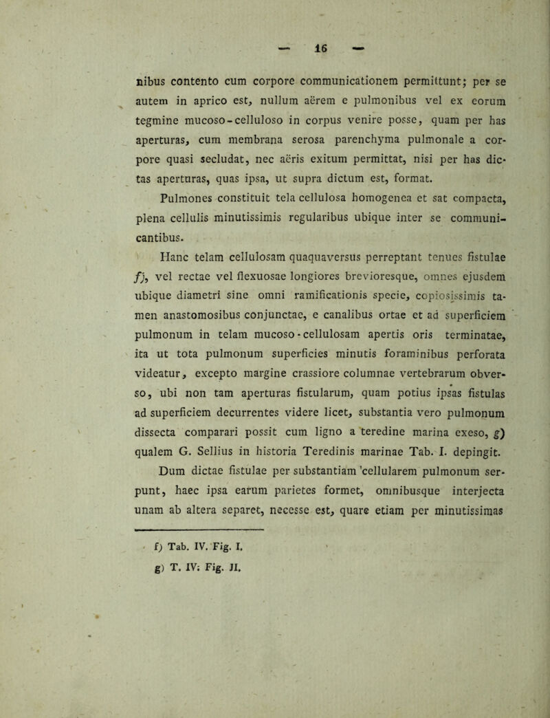 nibus contento cum corpore communicationem permittunt; per se autem in aprico est, nullum aerem e pulmonibus vel ex eorum tegmine mucoso-celluloso in corpus venire posse, quam per has aperturas, cum membrana serosa parenchyma pulmonale a cor- pore quasi secludat, nec aeris exitum permittat, nisi per has dic- tas aperturas, quas ipsa, ut supra dictum est, format. Pulmones constituit tela cellulosa homogenca et sat compacta, plena cellulis minutissimis regularibus ubique inter se communi- cantibus. ' Hanc telam cellulosam quaquaversus perreptant tenues fistulae vel rectae vel flexuosae longiores brevioresque, omnes ejusdem ubique diametri sine omni ramificationis specie, copioshssimis ta- men anastomosibus conjunctae, e canalibus ortae et ad superficiem pulmonum in telam mucoso-cellulosam apertis oris terminatae, ita ut tota pulmonum superficies minutis foraminibus perforata videatur, excepto margine crassiore columnae vertebrarum obver- so, ubi non tam aperturas fistularum, quam potius ipsas fistulas ad superficiem decurrentes videre licet, substantia vero pulmonum dissecta comparari possit cum ligno a teredine marina exeso, g) qualem G. Sellius in historia Teredinis marinae Tab. I. depingit. Dum dictae fistulae per substantiam 'cellularem pulmonum ser- punt, haec ipsa earum parietes formet, oninibusque interjecta unam ab altera separet, necesse est, quare etiam per minutissimas . f) Tab. IV.Tig. I. g) T. IV; Fig. JI.