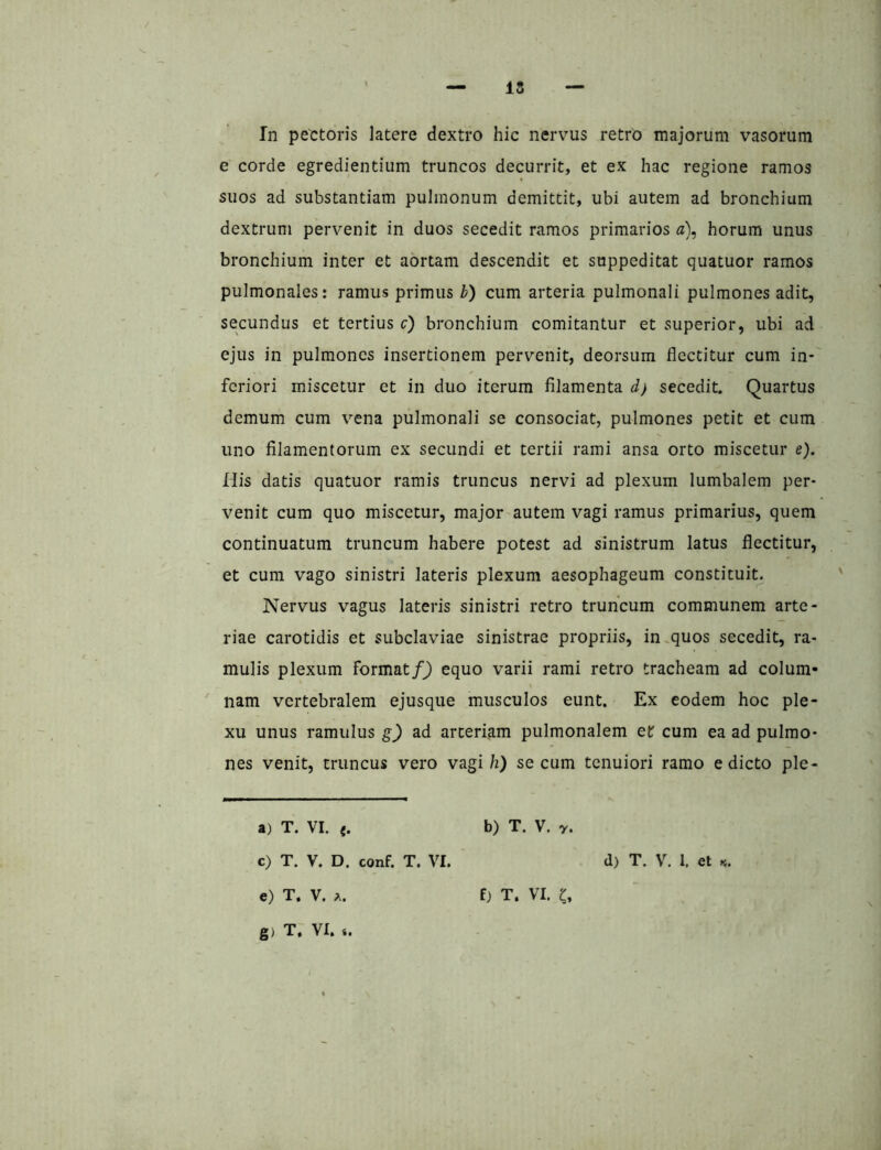 In pectoris latere dextro hic nervus retro majorum vasorum e corde egredientium truncos decurrit, et ex hac regione ramos suos ad substantiam pulmonum demittit, ubi autem ad bronchium dextrum pervenit in duos secedit ramos primarios a\ horum unus bronchium inter et aortam descendit et suppeditat quatuor ramos pulmonales: ramus primus b) cum arteria pulmonali pulmones adit, secundus et tertius c) bronchium comitantur et superior, ubi ad ejus in pulmones insertionem pervenit, deorsum flectitur cum in- feriori miscetur et in duo iterum filamenta d) secedit. Quartus demum cum vena pulmonali se consociat, pulmones petit et cum uno filamentorum ex secundi et tertii rami ansa orto miscetur e). His datis quatuor ramis truncus nervi ad plexum lumbalem per- venit cum quo miscetur, major autem vagi ramus primarius, quem continuatum truncum habere potest ad sinistrum latus flectitur, et cum vago sinistri lateris plexum aesophageum constituit. Nervus vagus lateris sinistri retro truncum communem arte- riae carotidis et subclaviae sinistrae propriis, in .quos secedit, ra- mulis plexum format/J) equo varii rami retro tracheam ad colum- nam vertebralem ejusque musculos eunt. Ex eodem hoc ple- xu unus ramulus g) ad arteriam pulmonalem et cum ea ad pulmo- nes venit, truncus vero vagi/i) se cum tenuiori ramo edicto ple- a) T. VI. «. b) T. V. y. c) T. V. D. conf. T. VI. d) T. V. 1. et «