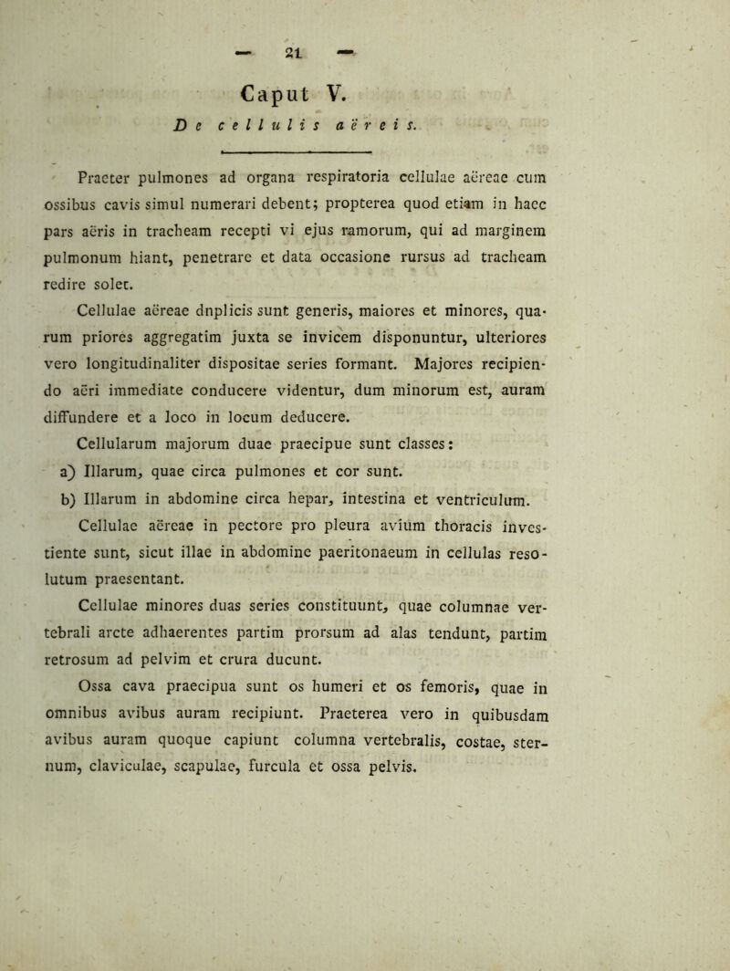 2t Caput V. D c cellulis aereis. Praeter pulmones ad organa respiratoria cellulae aereae cum ossibus cavis simul numerari debent; propterea quod etiam in hacc pars aeris in tracheam recepti vi ejus ramorum, qui ad marginem pulmonum hiant, penetrare et data occasione rursus ad tracheam redire solet. Cellulae aereae dnplicissunt generis, maiores et minores, qua- rum priores aggregatim juxta se invicem disponuntur, ulteriores vero longitudinaliter dispositae series formant. Majores recipien- do aeri immediate conducere videntur, dum minorum est, auram diffundere et a loco in locum deducere. Cellularum majorum duae praecipue sunt classes: a) Illarum, quae circa pulmones et cor sunt. b) Illarum in abdomine circa hepar, intestina et ventriculum. Cellulae aereae in pectore pro pleura avium thoracis inves- tiente sunt, sicut illae in abdomine paeritonaeum in cellulas reso- lutum praesentant. Cellulae minores duas series constituunt, quae columnae ver- tebrali arcte adhaerentes partim prorsum ad alas tendunt, partim retrosum ad pelvim et crura ducunt. Ossa cava praecipua sunt os humeri et os femoris, quae in omnibus avibus auram recipiunt. Praeterea vero in quibusdam avibus auram quoque capiunt columna vertebralis, costae, ster- num, claviculae, scapulae, furcula et ossa pelvis.