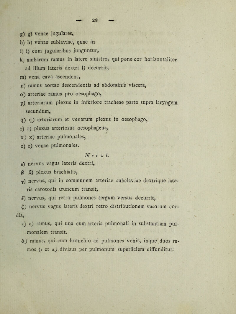 g) g) venae jugulares, h) h) venae sublaviae, quae in i) i) cum jugularibus junguntur, k; ambarum ramus in latere sinistro, qui pone cor horizontaliter ad illum lateris dextri 1) decurrit, m) vena cava ascendens, n) ramus aortae descendentis ad abdominis viscera, o) arteriae ramus pro oesophago, p) arteriarum plexus in inferiore tracheae parte supra laryngem secundum, q) q^ arteriarum et venarum plexus in oesophago, r) T) plexus arteriosus oesophageus, x) arteriae pulmonales, z) z) venae pulmonales. N e r ”0 i. tt) nervus vagus lateris dextri, /3 /3) plexus brachialis, y) nervus, qui in communem arteriae subclaviae dextrique late- ris carotodis truncum transit, d) nervus, qui retro pulmones tergum versus decurrit, nervus vagus lateris dextri retro distributionem vasorum cor- dis, r) yj ramus, qui una cum arteria pulmonali in substantiam pul- monalem transit. ramus, qui cum bronchio ad pulmones venit, inque duos ra- mos ct yij divisus per pulmonum superficiem diffunditur.