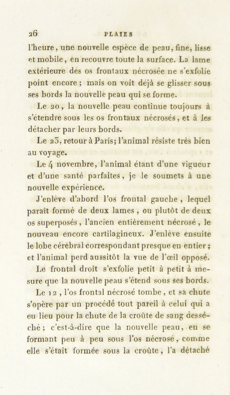 l’heure, une nouvelle espèce de peau, fine, lisse et mobile, en recouvre toute la surface. La lame extérieure des os frontaux nécrosée ne s’exfolie point encore ; mais on voit déjà se glisser sous ses bords la nouvelle peau qui se forme. Le 20, la nouvelle peau continue toujours à s’étendre sous les os frontaux nécrosés, et à les détacher par leurs bords. Le 20, retour à Paris; l’animal résiste très bien au voyage. Le 4 novembre, l’animal étant d’une vigueur et d’une santé parfaites, je le soumets à une nouvelle expérience. J’enlève d’abord l’os frontal gauche , lequel paraît formé de deux lames , ou plutôt de deux os superposés, l’ancien entièrement nécrosé, le nouveau encore cartilagineux. J’enlève ensuite le lobe cérébral correspondant presque en entier ; et l’animal perd aussitôt la vue de l’œil opposé. Le frontal droit s’exfolie petit à petit à me- sure que la nouvelle peau s’étend sous ses bords. Le 12 , l’os frontal nécrosé tombe , et sa chute s’opère par un procédé tout pareil à celui qui a eu lieu pour la chute de la croûte de sang dessé- ché ; c’est-à-dire que la nouvelle peau, en se formant peu à peu sous l’os nécrosé, comme elle s’était formée sous la croûte, l’a détaché