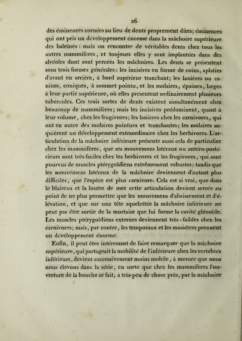 des éminences cornées au lieu de dents proprement dites; éminences qui ont pris un développement énorme dans la mâchoire supérieure des baleines : mais on rencontre de véritables dents chez tous les autres mammifères , et toujours elles y sont implantées dans des alvéoles dont sont percées les mâchoires. Les dents se présentent sous trois formes générales : les incisives en forme de coins, aplaties d’avant en arrière, à bord supérieur tranchant; les lanières ou ca- nines, coniques, à sommet pointu, et les molaires, épaisses, larges à leur partie supérieure, où elles présentent ordinairement plusieurs tubercules. Ces trois sortes de dents existent simultanément chez beaucoup de mammifères; mais les incisives prédominent, quant à leur volume, chez les frugivores; les lanières chez les carnivores, qui ont en outre des molaires pointues et tranchantes; les molaires ac- quièrent un développement extraordinaire chez les herbivores. L’ar- ticulation de la mâchoire inférieure présente aussi cela de particulier chez les mammifères, que ses mouvemens latéraux ou antéro-posté- rieurs sont ti'ès-faciles chez les herbivores et les frugivores, qui sont pourvus de muscles ptérygoïdiens extrêmement robustes; tandis que les mouvemens latéraux de la mâchoire deviennent d’autant plus difficiles, que l’espèce est plus carnivore. Cela est si vrai, que dans le blaireau et la loutre de mer cette articulation devient serrée au point de ne plus permettre que les mouvemens d’abaissement et d’é- lévation, et que sur une tête squelettée la mâchoire inférieure ne peut pas être sortie de la mortaise que lui forme la cavité glénoïde. Les muscles ptérygoïdiens externes deviennent très - faibles chez les carnivores; mais, par contre, les temporaux et les masséters prennent un développement énorme. Enfin, il peut être intéressant de faire remarquer que la mâchoire supérieure, qui partageait la mobilité de l’inférieure chez les vertébrés inférieurs, devient successivement moins mobile , à mesure que nous nous élevons dans la série, en sorte que chez les mammifères l’ou- verture de la bouche se fait, à très-peu de chose près, par la mâchoire