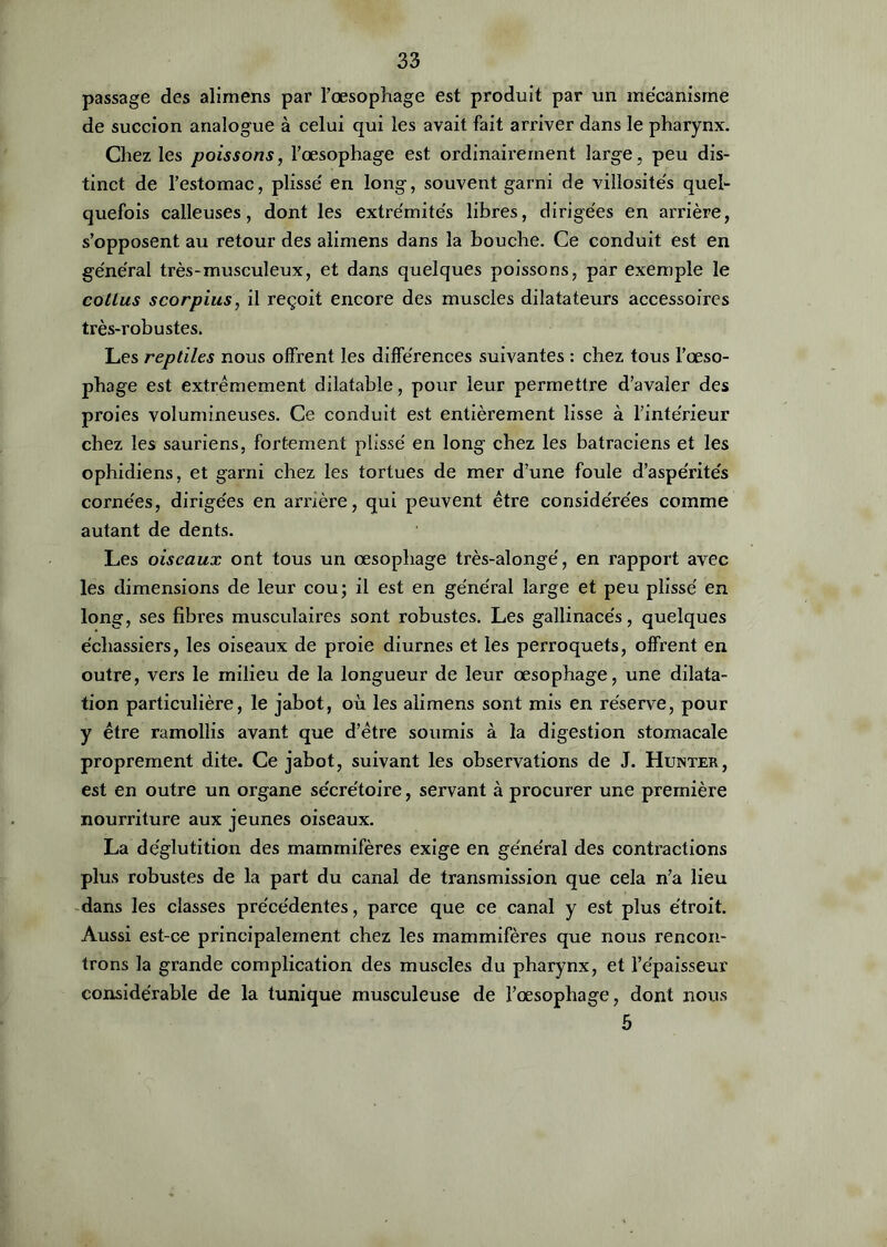 passage des alimens par l’œsophage est produit par un mécanisme de succion analogue à celui qui les avait fait arriver dans le pharynx. Chez les poissons, l’œsophage est ordinairement large, peu dis- tinct de l’estomac, plisse' en long, souvent garni de villosités quel- quefois calleuses, dont les extre'mite's libres, dirigées en arrière, s’opposent au retour des alimens dans la bouche. Ce conduit est en général très-musculeux, et dans quelques poissons, par exemple le cotlus scorpius, il reçoit encore des muscles dilatateurs accessoires très-robustes. Les reptiles nous offrent les différences suivantes : chez tous l’œso- phage est extrêmement dilatable, pour leur permettre d’avaler des proies volumineuses. Ce conduit est entièrement lisse à l’intérieur chez les sauriens, fortement plissé en long chez les batraciens et les ophidiens, et garni chez les tortues de mer d’une foule d’aspérités cornées, dirigées en amère, qui peuvent être considérées comme autant de dents. Les oiseaux ont tous un œsophage très-alongé, en rapport avec les dimensions de leur cou; il est en général large et peu plissé en long, ses fibres musculaires sont robustes. Les gallinacés, quelques échassiers, les oiseaux de proie diurnes et les perroquets, offrent en outre, vers le milieu de la longueur de leur œsophage, une dilata- tion particulière, le jabot, où les alimens sont mis en réserve, pour y être ramollis avant que d’être soumis à la digestion stomacale proprement dite. Ce jabot, suivant les observations de J. Hunter, est en outre un organe sécrétoire, servant à procurer une première nourriture aux jeunes oiseaux. La déglutition des mammifères exige en général des contractions plus robustes de la part du canal de transmission que cela n’a lieu dans les classes précédentes, parce que ce canal y est plus étroit. Aussi est-ce principalement chez les mammifères que nous rencon- trons la grande complication des muscles du pharynx, et l’épaisseur considérable de la tunique musculeuse de l’œsophage, dont nous 5