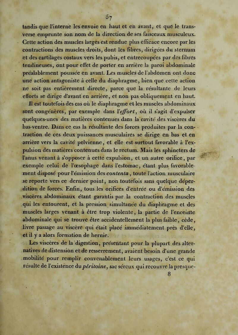 5? tandis que l’interne les envoie en haut et en avant, et que le trans- verse emprunte son nom de la direction de ses faisceaux musculeux. Cette action des muscles larges est rendue plus efficace encore par les contractions des muscles droits, dont les fibres, dirigées du sternum et des cartilages costaux vers les pubis, et entrecoupées par des fibres tendineuses, ont pour effet de porter en arrière la paroi abdominale préalablement poussée en avant. Les muscles de l’abdomen ont donc une action antagoniste à celle du diaphragme, bien que cette action ne soit pas entièrement directe, parce que la résultante de leurs efforts se dirige d’avant en arrière, et non pas obliquement en haut. Il est toutefois des cas où le diaphragme et les muscles abdominaux sont congénères, par exemple dans l'effort, où il s’agit d’expulser quelques-unes des matières contenues dans la cavité des viscères du bas-ventre. Dans ce cas la résultante des forces produites par la con- traction de ces deux puissances musculaires se dirige en bas et en arrière vers la cavité pelvienne, et elle est surtout favorable à l’ex- pulsion des matières contenues dans le rectum. Mais les sphincters de l’anus venant à s’opposer à cette expulsion, et un autre orifice, par exemple celui de l’œsophage dans l’estomac, étant plus favorable- ment disposé pour l’émission des contenta, toute faction musculaire se reporte vers ce dernier point, non toutefois sans quelque déper- dition de forces. Enfinr tous les orifices d’entrée ou d’émission des viscères abdominaux étant garantis par la contraction des muscles qui les entourent, et la pression simultanée du diaphragme et des muscles larges venant à être trop violente, la partie de l’enceixîte abdominale qui se trouve être accidentellement la plus faible, cède, livre passage au viscère qui était placé immédiatement près d’elle, et il y a alors formation de hernie. Les viscères de la digestion, présentant pour la plupart des alter- natives de distension et de resserrement, avaient besoin d’une grande mobilité pour remplir convenablement leurs usages, c’est ce qui résulte de l’existence du péritoine, sac séreux qui recouvre la presque-