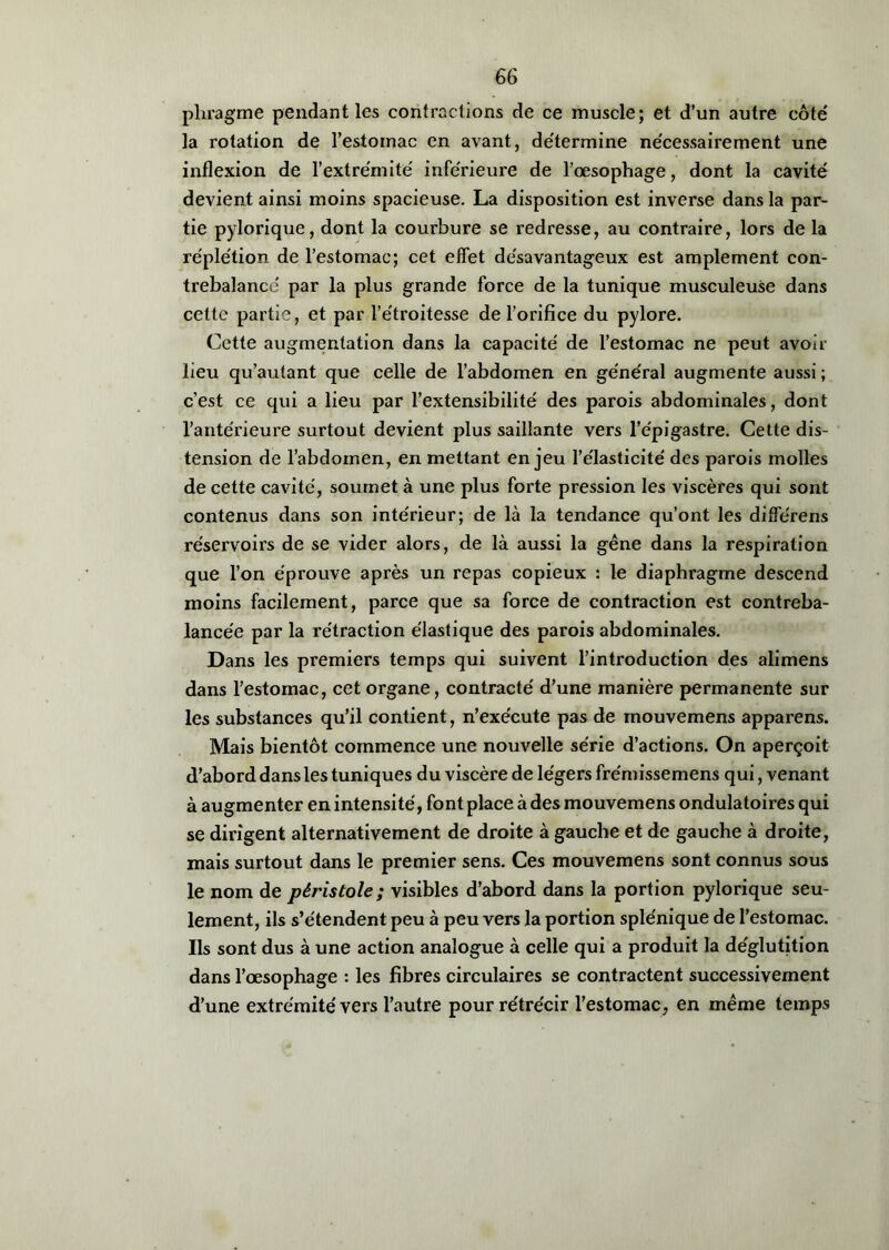 pliragme pendant les contractions de ce muscle; et d’un autre côte' la rotation de l’estoinac en avant, détermine nécessairement une inflexion de l’extrémité inférieure de l’œsophage, dont la cavité devient ainsi moins spacieuse. La disposition est inverse dans la par- tie pylorique, dont la courbure se redresse, au contraire, lors de la réple'tion de l’estomac; cet effet désavantageux est amplement con- trebalancé par la plus grande force de la tunique musculeuse dans cette partie, et par l’étroitesse de l’orifice du pylore. Cette augmentation dans la capacité de l’estomac ne peut avoir lieu qu’autant que celle de l’abdomen en général augmente aussi ; c’est ce qui a lieu par l’extensibilité des parois abdominales, dont l’antérieure surtout devient plus saillante vers l’épigastre. Cette dis- tension de l’abdomen, en mettant enjeu l’élasticité des parois molles de cette cavité, soumet à une plus forte pression les viscères qui sont contenus dans son intérieur; de là la tendance qu’ont les différens réservoirs de se vider alors, de là aussi la gêne dans la respiration que l’on éprouve après un repas copieux : le diaphragme descend moins facilement, parce que sa force de contraction est contreba- lancée par la rétraction élastique des parois abdominales. Dans les premiers temps qui suivent l’introduction des alimens dans l’estomac, cet organe, contracté d’une manière permanente sur les substances qu’il contient, n’exe'cute pas de mouvemens apparens. Mais bientôt commence une nouvelle série d’actions. On aperçoit d’abord dans les tuniques du viscère de légers frémissemens qui, venant à augmenter en intensité, font place à des mouvemens ondulatoires qui se dirigent alternativement de droite à gauche et de gauche à droite, mais surtout dans le premier sens. Ces mouvemens sont connus sous le nom de pèristole ; visibles d’abord dans la portion pylorique seu- lement, ils s’étendent peu à peu vers la portion splénique de l’estomac. Ils sont dus à une action analogue à celle qui a produit la déglutition dans l’œsophage : les fibres circulaires se contractent successivement d’une extrémité vers l’autre pour rétrécir l’estomac, en même temps