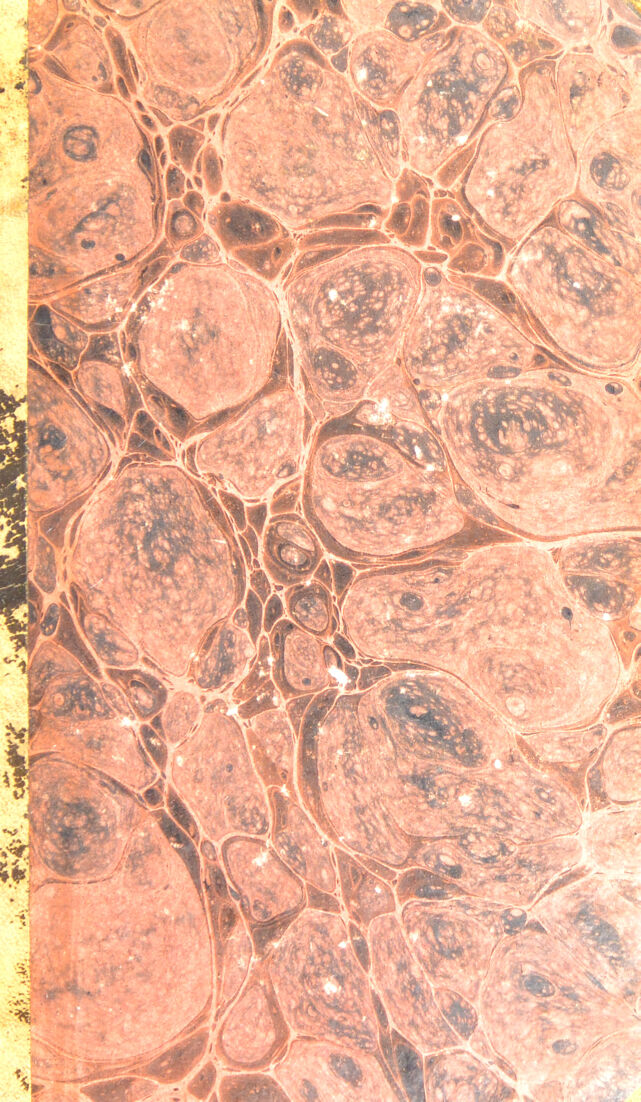 digitised image 1