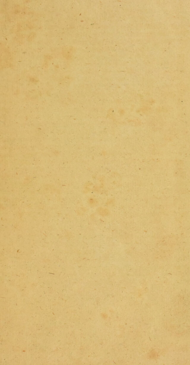 digitised image 3