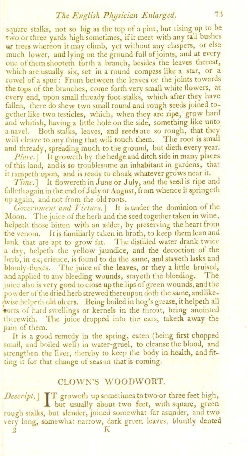 square stalks, not so big as the top of a pint, hut rising up to be two or three yards high sometimes, if it meet with any tali bushes tar trees whereon it may climb, yet without any claspers, or else much lower, and lying on the ground full of joints, and at every one of them shootetn forth a branch, besides the leaves thereat, which are usually six, set in a round compass like a star, or a rowel of a spur: From between the leaves or the joints towards the tops of the branches, come forth verv small white flowers, at every end, upon small thready foot-stalks, which after they have fallen, there do shew two small round find rough seeds joined to- gether like two testicles, which, when they are ripe, grow hard and whitish, having a little hole on the side, something like unto a navel. Both stalks, leaves, and seeds are so rough, that they will cleave to any thing that will touch them. The root is small and thready, spreading much to the giound, but dieth every year. Place.] It groweth by the hedge and ditch side in many places of this land, and is so troublesome an inhabitant in gardens, that it rampeth upon, and is ready to choak whatever grows near it. Time.] It flowereth in June or July, and the seed is ripe and falleth again in the end of J uly or August, from whence it springeth up a^ain, and not from the old roots. I D ' t m m _ _ Government and Virtues.] It is under the dominion of the Moon. The juice of the herb and the seed together taken in wine, helpeth those bitten with an adder, by preserving the heart from the venom. It is familiarly taken in broth, to keep them lean and lank that are apt to grow fat. The distilled water drank twice a day, helpeth the yellow jaundice, and the decoction of the herb, in exj erience, is found to do the same, and stayeth lasks and bloody-fiuxes. The juice of the leaves, or they a little bruised, and applied to any bleeding wounds, stayeth the bleeding. The juice also is very good to close up the lips of green wounds, and the powder of the dried herb strewed thereupon doth the same, and like- Avise helpeth old ulcers. Being boiled in hog’s grease, it helpeth all #orts of hard swellings or kernels in the throat, being anointed therewith. The juice dropped into the ears, takech away the pain of them. It is a good remedy in the spring, eaten (being first chopped small, and boiled well) in water-gruel, to cleanse the blood, and strengthen the liver, thereby to keep the body in health, and fit- ting it for that change of season that is coming. CLOWN’S WOODWORT. Rescript.] TT groweth up sometimes totwo-or three feet high, A but usually about two feet, with square, green rough stalks, but slender, joined somewhat far asunder, and two very long, somewhat narrow, dark green leaves, bluntly dented 2 K
