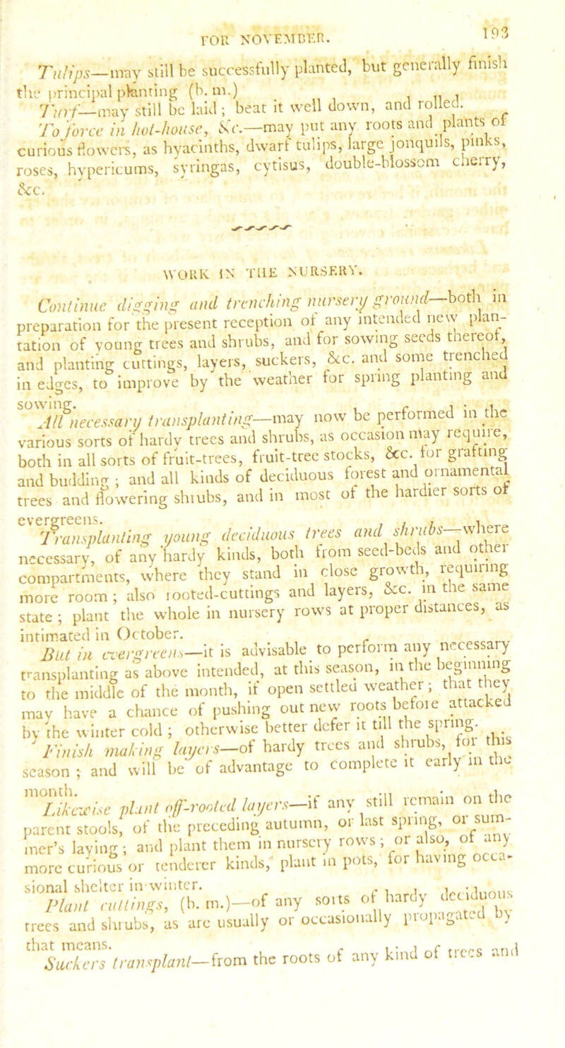 Tulips— may still be successfully planted, but generally finish the principal planting (b. m.) . ,, , Turf— may still be laid; beat it well down, and rolled. To 'force in hot-house, Nc.—may put any roots and plants of curious flowers, as hyacinths, dwarf tulips, large jonquils, pinks, roses, hypericums, syringas, evtisus, double-blossom cheiry, &c. WORK IN THE NURSERY. Continue digging and trenching nursery ground—both in preparation for the present reception ot any intended new plan- tation of young trees and shrubs, and for sowing seeds thereof and planting cuttings, layers, suckers, &c. and some trencher in edges, to improve by the weather tor spring planting and S°ZtUnnecessary transplanting— may now be performed in the various sorts of hardv trees and shrubs, as occasion may requiie, both in all sorts of fruit-trees, fruit-tree stocks, 6cc. for grafting and budding ; and all kinds of deciduous forest and ornamental trees and flowering shiubs, and in most ot the hardier sorts o CV£Transplanting young deciduous trees and shrubs— where necessary, of any hardy kinds, both from seed-beds and othei compartments, where they stand m close growth, requiting more room ; also looted-cuttings and layers, &c. m the same state ; plant the whole in nursery rows at proper distances, as intimated in October. But in evergreen*—it is advisable to perform any necessary transplanting as above intended, at this season, in the beginning to the middle of the month, if open settled weather; that they may have a chance of pushing out new roots befoie attache bv 'the winter cold ; otherwise better defer it till the spring. 'Finish making layers-of hardy trees and shrubs fo this season ; and will be of advantage to complete it early m the Tlterte phut off-rooted layers—if any still remain on the parent stools, of the preceding autumn, or last spiing, 01 sum- mer’s laying; and plant them in nursery rows ; or also, of any more curious or tenderer kinds, plant in pots, for having occa- sional shelter in winter. 'i,...,, Plant citings, (b. m.)-of any sorts ot tarty Trees and shrubs, as are usually or occasionally piopaga -t . transplant-from the roots of any kind of trees and