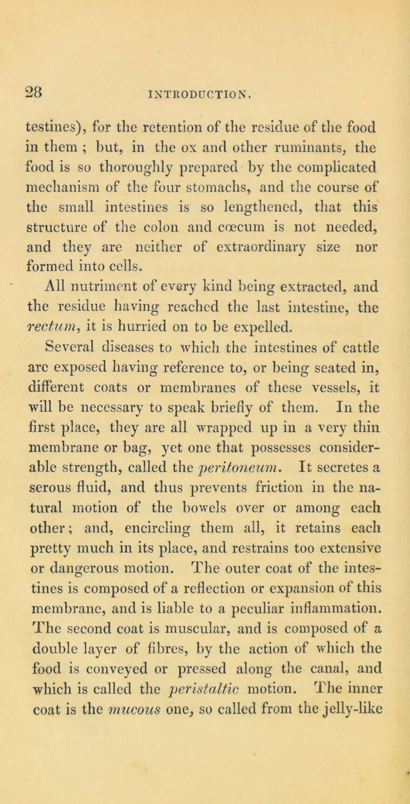 testines), for the retention of the residue of the food in them ; but, in the ox and other ruminants, the food is so thoroughly prepared by the complicated mechanism of the four stomachs, and the course of the small intestines is so lengthened, that this structure of the colon and coecum is not needed, and they are neither of extraordinary size nor formed into cells. All nutriment of every kind being extracted, and the residue having reached the last intestine, the rectum, it is hurried on to be expelled. Several diseases to which the intestines of cattle arc exposed having reference to, or being seated in, different coats or membranes of these vessels, it will be necessary to speak briefly of them. In the first place, they are all wrapped up in a very thin membrane or bag, yet one that possesses consider- able strength, called the peritoneum. It secretes a serous fluid, and thus prevents friction in the na- tural motion of the bowels over or among each other; and, encircling them all, it retains each pretty much in its place, and restrains too extensive or dangerous motion. The outer coat of the intes- tines is composed of a reflection or expansion of this membrane, and is liable to a peculiar inflammation. The second coat is muscular, and is composed of a double layer of fibres, by the action of which the food is conveyed or pressed along the canal, and which is called the peristaltic motion. The inner coat is the mucous one, so called from the jelly-like