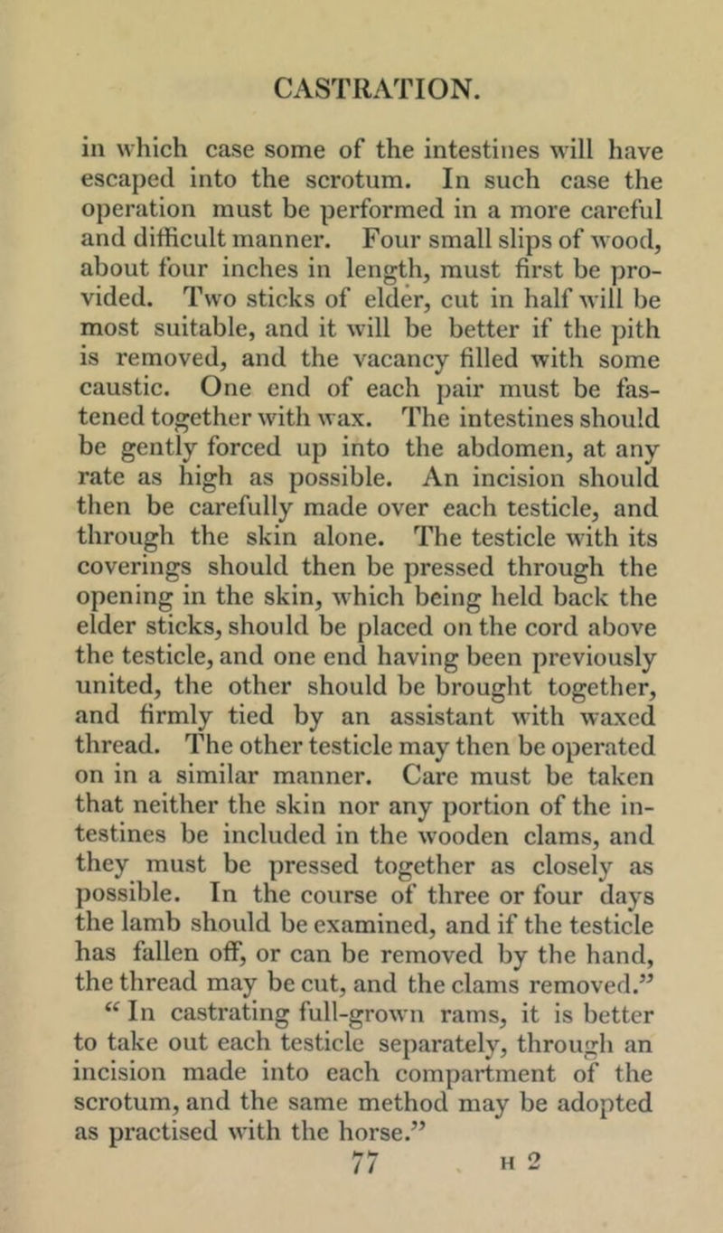 in which case some of the intestines will have escaped into the scrotum. In such case the operation must be performed in a more careful and difficult manner. Four small slips of wood, about four inches in length, must first be pro- vided. Two sticks of elder, cut in half will be most suitable, and it will be better if the pith is removed, and the vacancy filled with some caustic. One end of each pair must be fas- tened together with wax. The intestines should be gently forced up into the abdomen, at any rate as high as possible. An incision should then be carefully made over each testicle, and through the skin alone. The testicle with its coverings should then be pressed through the opening in the skin, which being held back the elder sticks, should be placed on the cord above the testicle, and one end having been previously united, the other should be brought together, and firmly tied by an assistant with waxed thread. The other testicle may then be operated on in a similar manner. Care must be taken that neither the skin nor any portion of the in- testines be included in the wooden clams, and they must be pressed together as closely as possible. In the course of three or four days the lamb should be examined, and if the testicle has fallen off, or can be removed by the hand, the thread may be cut, and the clams removed.” “ In castrating full-grown rams, it is better to take out each testicle separately, through an incision made into each compartment of the scrotum, and the same method may be adopted as practised with the horse.”