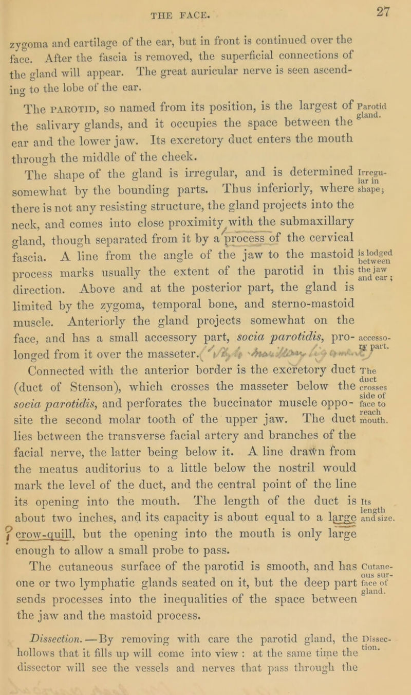 zygoma and cartilage of the ear, but in front is continued over the face. After the fascia is removed, the superficial connections of the gland will appear. The great auricular nerve is seen ascend- ing to the lobe of the ear. The PAROTID, so named from its position, is the largest of Parotia the salivary glands, and it occupies the space between tie ear and the lower jaw. Its excretory duct enters the mouth through the middle of the cheek. The shape of the gland is irregular, and is determined Irregu- somewhat by the bounding parts. Thus inferiorly, where shape; there is not any resisting structure, the gland projects into the neck, and comes into close proximity with the submaxillary gland, though separated from it by a process « s of the cervical fascia. A line from the angle of the jaw to the mastoid ea process marks usually the extent of the parotid in this theiaw | direction. Above and at the posterior part, the gland is limited by the zygoma, temporal bone, and sterno-mastoid muscle. Anteriorly the gland projects somewhat on the face, and has a small accessory puts socta Abb are PTro- accesso- longed from it over the masseter. ty ‘thy A bp Aran Llldry [eG Crabs ae Connected with the anterior border is the Mey Ad duct The (duct of Stenson), which crosses the masseter below the ais socia parotidis, and perforates the buccinator muscle oppo- mee tn site the second molar tooth of the upper jaw. ‘The duct mouth, lies between the transverse facial artery and branches of the facial nerve, the latter being below it. A line drawn from the meatus auditorius to a little below the nostril would mark the level of the duct, and the central point of the line its opening into the mouth. The length of the duct is Its about two inches, and its capacity is about equal to a large ante ? crow-quill, but the opening into the mouth is only large * enough to allow a small probe to pass. The cutaneous surface of the parotid is smooth, and has Cutane- one or two lymphatic glands seated on it, but the deep part face of | sends processes into the inequalities of the space between a the jaw and the mastoid process. Dissection. —By removing with care the parotid gland, the Dissec- hollows that it fills up will come into view: at the same time the 7 dissector will see the vessels and nerves that pass through the