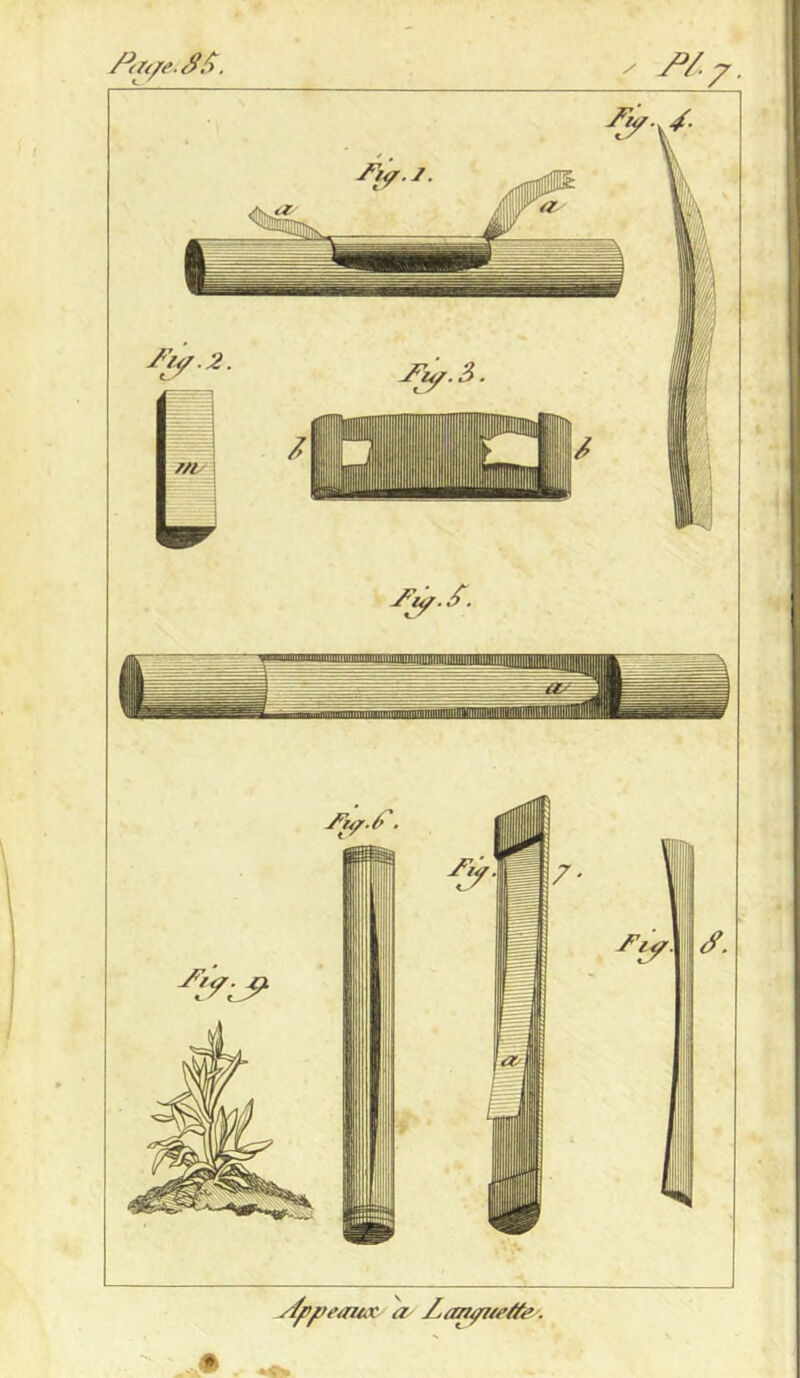 sfppeaiù. r a- ZjonpueéKe/.