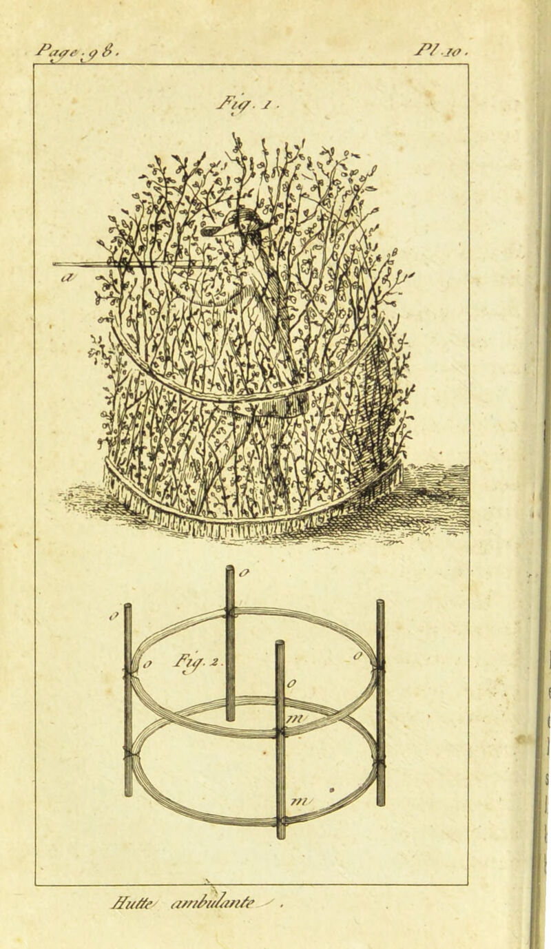 ■ a ê /fi/ffe a/nfa//w/p