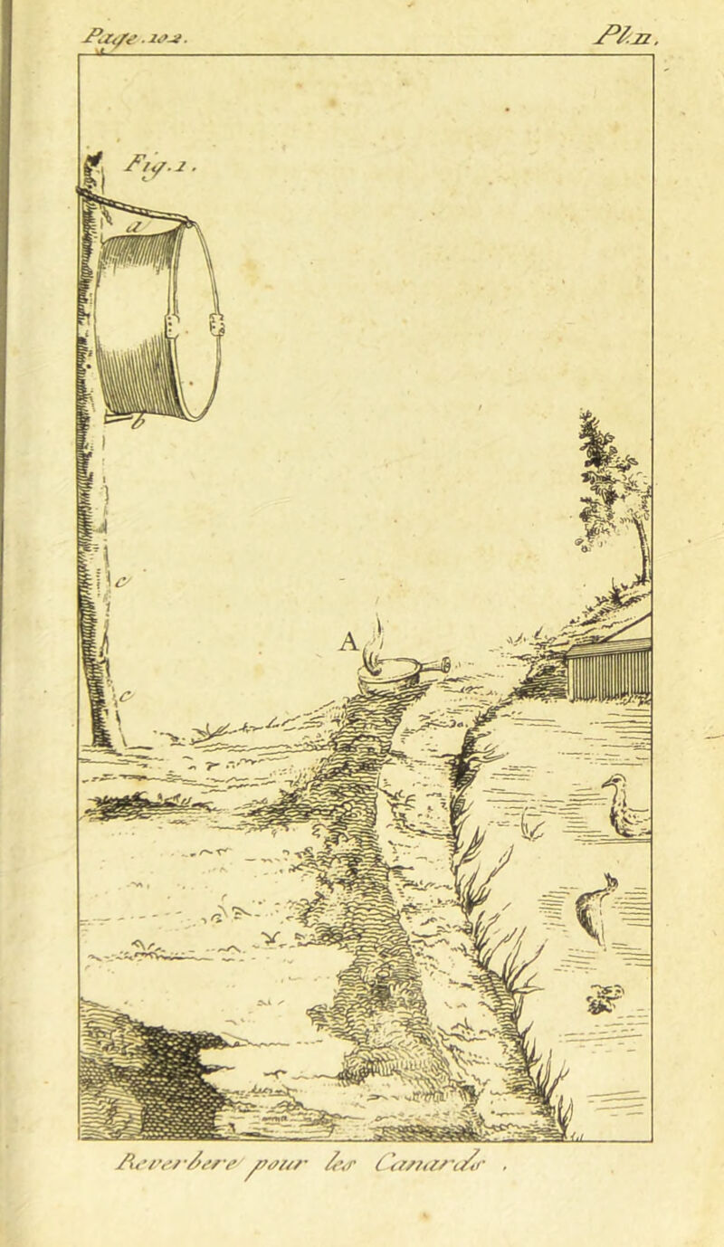 Jteefe .le.*. At’iwdsre-yiai/r J<’<r Ca/?a/~c&r