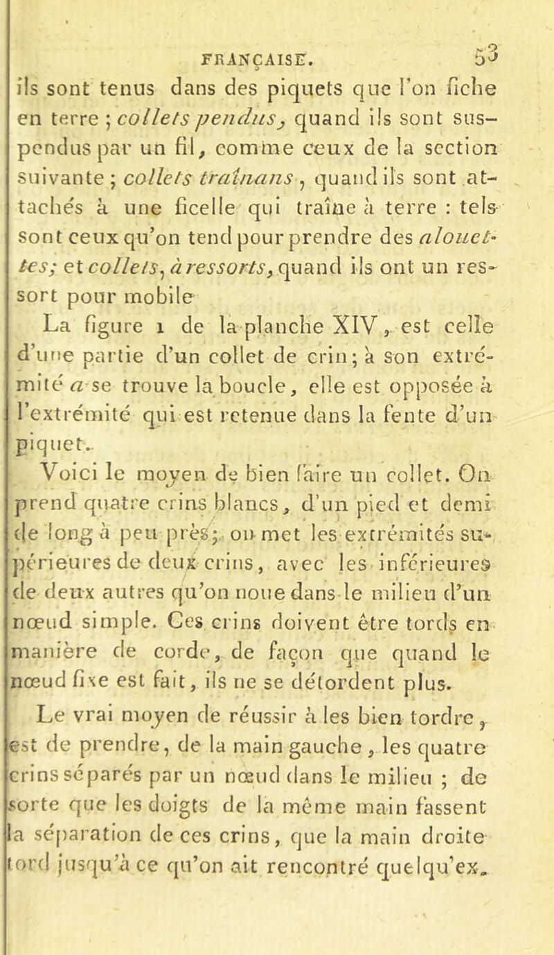FRANÇAISE. t)3 o ils sont tenus dans des piquets que l’on fiche en terre ; collets pendus, quand ils sont sus- pendus par un fil, comme ceux de la section suivante ; collets trainans , quand ils sont at- taches à une ficelle qui traîne à terre : tels sont ceux qu’on tend pour prendre des alouet- tes; et collets, à ressorts, quand i ls ont un res- sort pour mobile La figure 1 de la planche XIV, est celle d’une partie d’un collet de crin; à son extré- mité a se trouve la boucle, elle est opposée à l’extrémité qui est retenue dans la fente d’un piquet.. Voici le moyen de bien faire un collet. On prend quatre crins blancs, d’un pied et demi (le long à peu près; on met les extrémités su- périeures de deux crins, avec les inferieures de deux autres qu’on noue dans le milieu d’un nœud simple. Ces crins doivent être tords en manière de corde, de façon que quand le nœud fixe est fait, iis ne se détordent p' us. Le vrai moyen de réussir à les bien tordre, est de prendre, de la main gauche , les quatre crins séparés par un nœud dans le milieu ; de sorte que les doigts de la même main fassent la séparation de ces crins, que la main droite lord jusqu’il ce qu’on ait rencontré quelqu’ex.