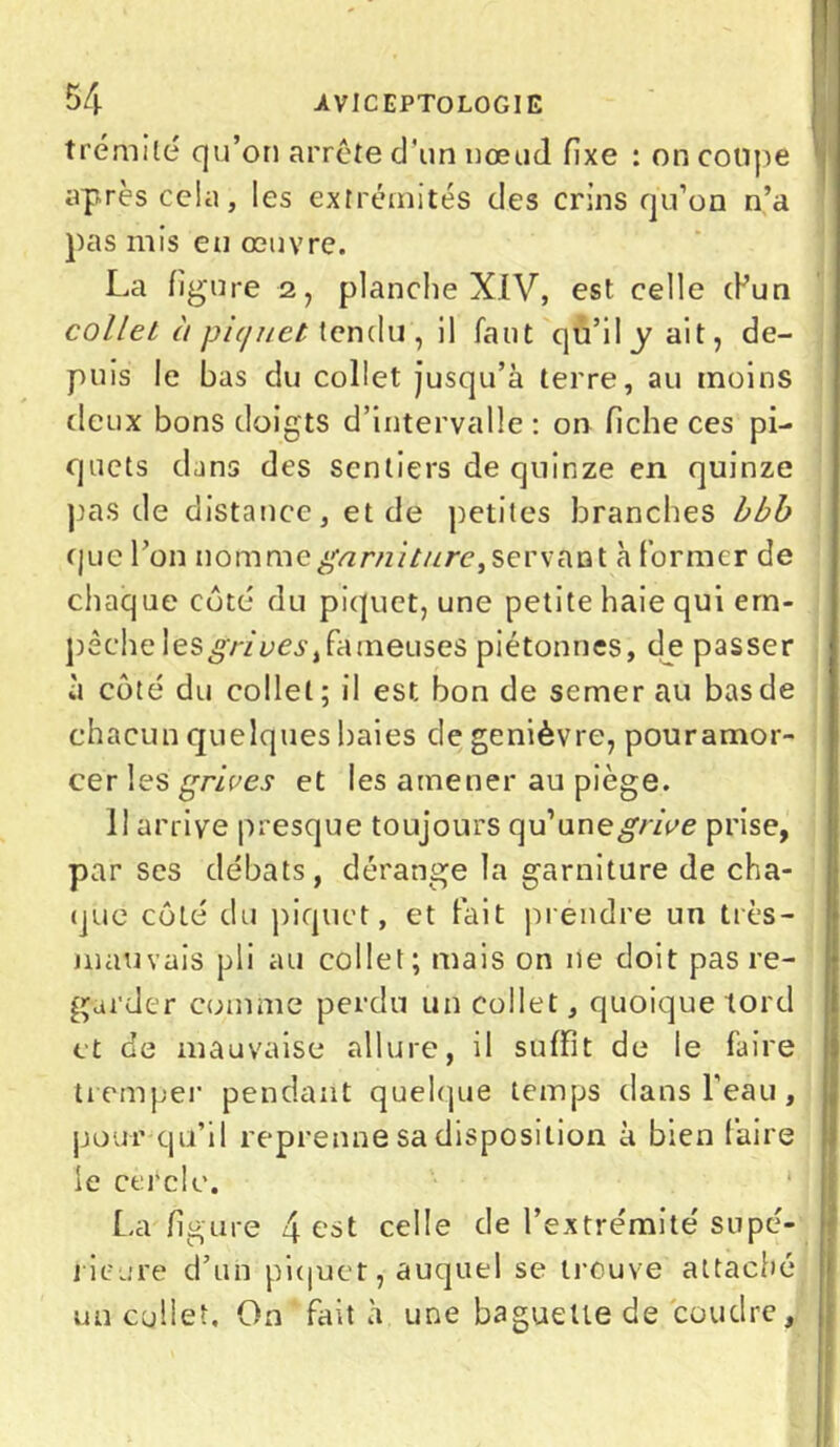 trémité qu’on arrête d'un nœud fixe : on coupe après cela, les extrémités des crins qu’on n’a pas mis eu œuvre. La figure 2, planche XIV, est celle (Pun collet à pic/net tendu ', il faut qu’il y ait, de- puis le bas du collet jusqu’à terre, au moins deux bons doigts d’intervalle : on fiche ces pi- quets dans des sentiers de quinze en quinze pas de distance, et de petites branches bbb que l’on nommegnrnit/irc, servant à former de chaque côte du piquet, une petite haie qui em- pêche \esgrivestfameuses piétonnes, de passer à coté du collet; il est bonde semer au bas de chacun quelques baies de genièvre, pouramor- cer les grives et les amener au piège. 11 arrive presque toujours qu’une ip'/Ve prise, par ses débats, dérange la garniture de cha- que côté du piquet, et fait prendre un très- mauvais pli au collet; mais on ne doit pas re- garder comme perdu un collet, quoique tord et de mauvaise allure, il suffit de le faire tremper pendant quelque temps dans l’eau, pour qu’il reprenne sa disposition à bien faire le cercle. La figure 4 est celle de l’extrémité supé- rieure d’un piquer, auquel se trouve attaché un collet. On fait à une baguette de coudre.