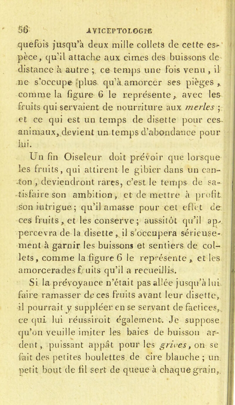 quefois jusqu’à deux mille collets de cette es-' pèce, qu’il attache aux cimes des buissons de distance à autre ; ce temps une fois venu , il ne s’occupe plus qu’à amorcer ses pièges , comme la figure 6 le représente, avec les fruits qui servaient de nourriture aux merles ; et ce qui est un temps de disette pour ces- animaux, devient un temps d’abondance pour lui. Un fin Oiseleur doit prévoir que lorsque les fruits, qui attirent le gibier dans un can- ton , deviendront rares, c’est le temps de sa» • tisfaire son ambition, et de mettre à profit son intrigue ; qu’il amasse pour cet effet de ces fruits, et les conserve; aussitôt qu’il ap> percevra de la disette , il s’occupera sérieuse- ment à garnir les buissons et sentiers de col- lets, comme la figure 6 le représente, et les amorceradesf uils qu’il a recueillis. Si la prévoyance n’était pas allée jusqu’à lui faire ramasser de ces fruits avant leur disette, il pourrait y suppléer en se servant de factices, ce qui lui réussirait également. Je suppose qu’on veuille imiter les baies de buisson ar- dent, puissant appât pour les grives, on se fait des petites boulettes de cire blanche ; un. petit bout de fil sert de queue à chaque grain,.