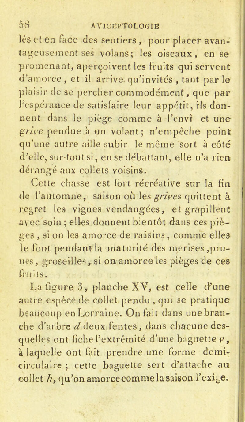 lés et en race des sentiers, pour placer avan- tageusement ses volans; les oiseaux, en se promenant, aperçoivent les fruits qui servent d’amorce, et il arrive, qu’invites , tant parle plaisir de se percher commodément, que par ]'espérance de satisfaire leur appétit, ils don- nent dans le piège comme à l’envî et une grive pendue h un volant; n’empêche point qu’une autre aille subir le même sort à côté d’elle, sur-tout si, en se débattant, elle n’a l ien dérangé aux collets voisins. Cette chasse est fort récréative sur la fin de l’automne, saison où les grives quittent à regret les vignes vendangées, et grapillent avec Soin ; elles donnent bientôt dans ces piè- ges , si on les amorce de raisins, comme elles le font pendant la maturité des merises,pru- nes, groseilles, si on amorce les pièges de ces fruits. La figure 3, planche XV, est celle d’une autre espèce de collet pendu , qui se pratique beaucoup en Lorraine. On fait dans unebran- che d’arbre d deux fentes, clans chacune des- quelles ont fiche l’extrémité d’une baguette v, à laquelle ont fait prendre une forme demi- circulaire ; cette baguette sert d’attache au collet /?, qu’on amorce comme la saison l’exige.