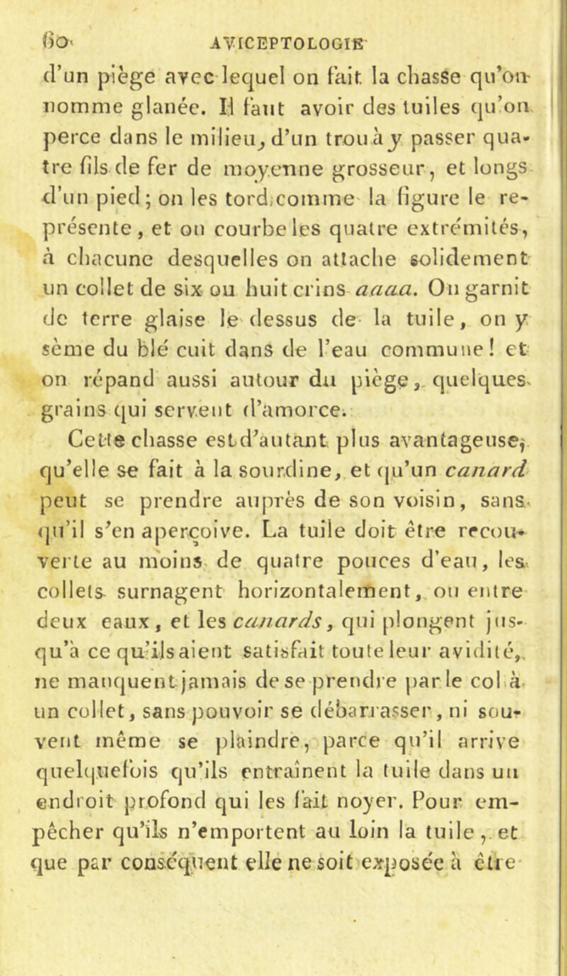 d’un piège avec lequel on fait la chasse qu’on- nomme glanée. Il faut avoir des tuiles qu’on perce dans le milieu, d’un trouày passer qua- tre fils de fer de moyenne grosseur, et longs d’un pied; on les tord comme la figure le re- présente , et on courbe les quatre extrémités, à chacune desquelles on attache solidement un collet de six ou huit crinsaacia. On garnit de terre glaise le dessus de la tuile, on y sème du blé cuit dans de l’eau commune! et on répand aussi autour du picge, quelques* grains qui servent d’amorce; Cette chasse est d’au tant, plus avantageuse, qu’elle se fait à la sourdine, et qu’un canard peut se prendre auprès de son voisin, sans.' qu’il s’en aperçoive. La tuile doit être recou- verte au moins de quatre pouces d’eau, les. collets surnagent horizontalement, ou entre deux eaux, et les canards, qui plongent jus- qu’à ce qu’ils aient satisfait toute leur avidité, ne manquent jamais de se prendre parle col à un collet, sans pouvoir se débarrasser, ni sou- vent même se plaindre, parce qu’il arrive quelquefois cju’ils entraînent la tuile dans un endroit profond qui les fait noyer. Pour em- pêcher qu’ils n’emportent au loin la tuile, et que par conséquent elle ne soit exposée à être