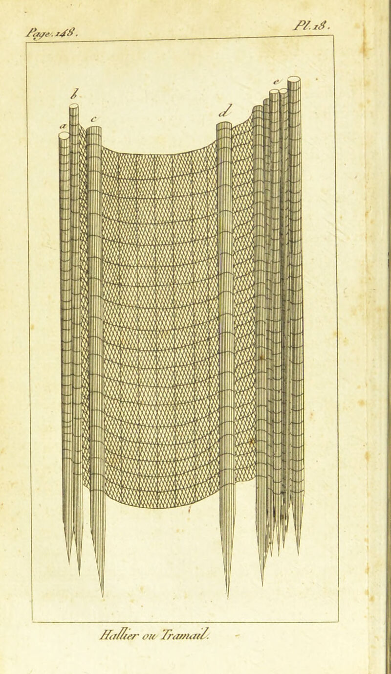 Æi4. Ætr/Zier ou Trauiai/.