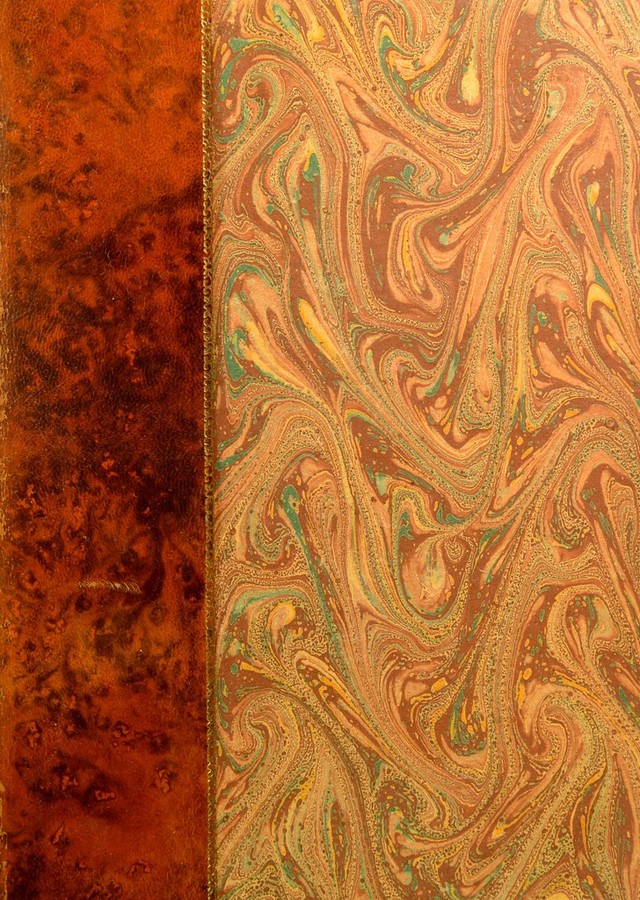 No text description is available for this image