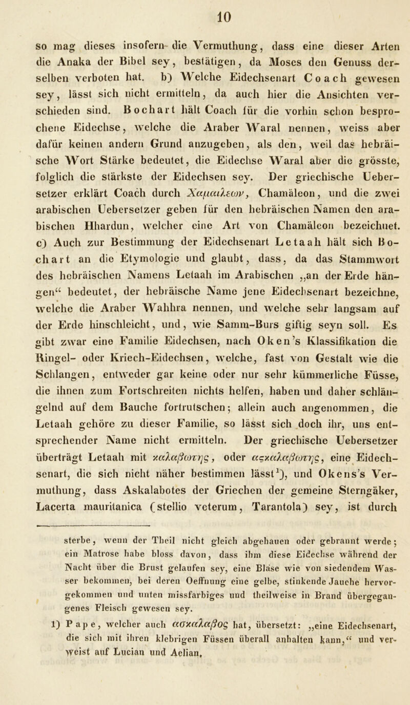 so mag dieses insofern die Vermuthung, dass eine dieser Arten die Anaka der Bibel sey, bestätigen, da 31oses den Genuss der- selben verboten hat. b) Welche Eidechsenart Coach gewesen sey, lässt sich nicht ermitteln, da auch hier die Ansichten ver- schieden sind. Bochart hält Coach für die vorhin schon bespro- chene Eidechse, welche die Araber Waral nennen, weiss aber dafür keinen andern Grund anzugeben, als den, weil das hebräi- sche Wort Stärke bedeutet, die Eidechse Waral aber die grösste, folglich die stärkste der Eidechsen sey. Der griechische Ueber- setzer erklärt Coach durch Xaf.iaiXecov, Chamäleon, und die zwei arabischen Uebersetzer geben für den hebräischen Namen den ara- bischen Hhardun, welcher eine Art von Chamäleon bezeichnet, c) Auch zur Bestimmung der Eidechsenart Letaah hält sich Bo- chart an die Etymologie und glaubt, dass, da das Stammwort des hebräischen Namens Letaah im Arabischen „an der Erde hän- gen“ bedeutet, der hebräische Name jene Eidechsenalt bezeichne, welche die Araber Wahhra nennen, und welche sehr langsam auf der Erde hinschleicht, und, wie Samm-Burs giftig seyn soll. Es gibt zwar eine Familie Eidechsen, nach Oken’s Klassifikation die Ringel- oder Kriech-Eidechsen, welche, fast von Gestalt wie die Schlangen, entweder gar keine oder nur sehr kümmerliche Füsse, die ihnen zum Fortschreiten nichts helfen, haben und daher schlän- gelnd auf dem Bauche fortrutschen*, allein auch angenommen, die Letaah gehöre zu dieser Familie, so lässt sich doch ihr, uns ent- sprechender Name nicht ermitteln. Der griechische Uebersetzer überträgt Letaah mit yalaßcon^g, oder acxal.aßcoz7]g, eine Eidech- senart, die sich nicht näher bestimmen lässt* 1), und Okens’s Ver- muthung, dass Askalabotes der Griechen der gemeine Sterngäker, Lacerta mauritanica (stellio vcterum, Tarantola) sey, ist durch sterbe, wenn der Theil nicht gleich abgehanen oder gebrannt werde ; ein Matrose habe bloss davon, dass ihm diese Eidechse wahrend der Nacht über die Brust gelaufen sey, eine Blase wie von siedendem Was- ser bekommen, bei deren Oeffnung eine gelbe, stinkende Jauche hervor- gekommen und unten missfarbiges und theilweise in Brand übergegan- genes Fleisch gewesen sey. I) Pape, welcher auch ccGxalaßoQ hat, übersetzt: „eine Eidechsenart, die sich mit ihren klebrigen Füssen überall anhalten kann,“ und ver- weist auf Lucian und Aelian,