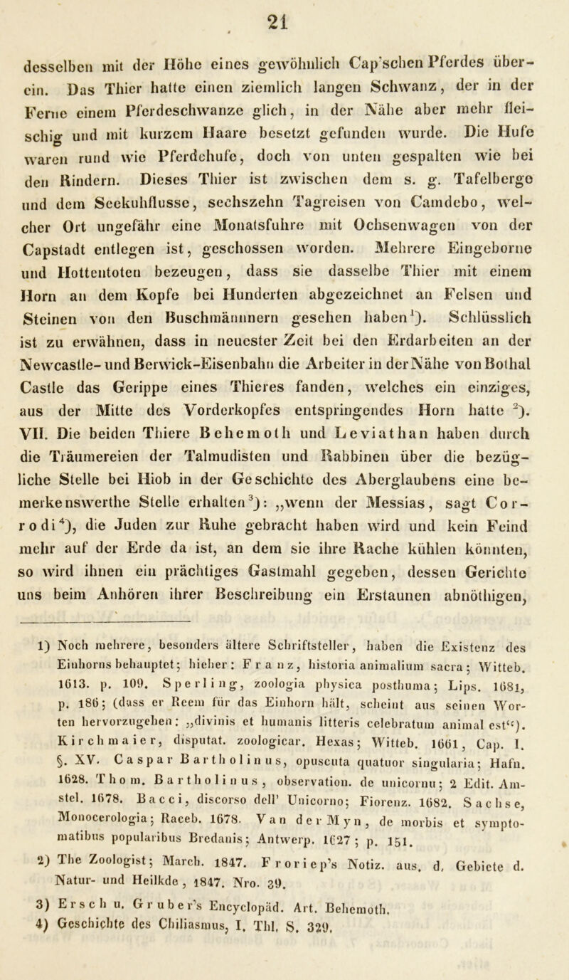 desselben mit der Höhe eines gewöhnlich Cap'schen Pferdes über- ein. Das Thier hatte einen ziemlich langen Schwanz, der in der Ferne einem Pfcrdeschwanze glich, in der Nahe aber mehr Hei— schio- und mit kurzem Haare besetzt gefunden wurde. Die Hufe waren rund wie Pferdehufe, doch von unten gespalten wie bei den Rindern. Dieses Thier ist zwischen dem s. g. Tafelberge und dem Seekuhflusse, sechszehn Tagreisen von Camdebo, wel- cher Ort ungefähr eine Monatsfuhre mit Ochsen wagen von der Capstadt entlegen ist, geschossen worden. Mehrere Eingeborne und Hottentoten bezeugen, dass sie dasselbe Thier mit einem Horn an dem Kopfe bei Hunderten abgezeichnet an Felsen und Steinen von den Buschmännnern gesehen haben1). Schlüsslich ist zu erwähnen, dass in neuester Zeit bei den Erdarbeiten an der Newcastle- und Berwick-Eisenbahn die Arbeiterin der Nähe vonBolhal Castle das Gerippe eines Thieres fanden, welches ein einziges, aus der Mitte des Vorderkopfes entspringendes Horn hatte 2). VII. Die beiden Thiere Behemoth und Leviathan haben durch die Träumereien der Talmudisten und llabbinen über die bezüsr- liehe Stelle bei Hiob in der Geschichte des Aberglaubens eine be- merke nswerthe Stelle erhalten3): „wenn der Messias, sagt Cor- rodi4), die Juden zur Ruhe gebracht haben wird und kein Feind mehr auf der Erde da ist, an dem sie ihre Rache kühlen könnten, so wird ihnen ein prächtiges Gastmahl gegeben, dessen Gerichte uns beim Anhören ihrer Beschreibung ein Erstaunen abnöthigen, 1) Noch mehrere, besonders altere Schriftsteller, haben die Existenz des Einhorns behauptet; hieher: Franz, historia animalium sacra; Witteb. 1Ü13. p. 109. Sperling, zoologia physica posthuma; Lips. 1081, p. 180; (dass er Reem für das Einhorn hält, scheint aus seinen Wor- ten hervorzugehen: „divinis et humanis litteris celebratum animal est‘c). Kirchmaier, disputat. zoologicar. Hexas; Witteb. 1661, Cap. 1. §• XV. Caspar Barthol in us, opuscuta quatuor singularia; Hafn. 1628. Thom. Bartholin us, observation. de unicornu; 2 Edit. Ain- stel. 1078. Bacci, discorso delP Unicorno; Fiorenz. 1082. Sachse, Monocerologia; Raceb. 1678. Van derMyn, de morbis et sympto- matibus popularibus Bredanis; Antwerp. 1627; p. 151. 2) The Zoologist; March. 1847. Froriep’s Notiz, aus. d, Gebiete d. Natur- und Heilkde , 1847. Nro. 39. 3) Ersch u. Gruber’s Encyclopad. Art. Behemoth. 4) Geschichte des Cbiliasmus, I. Tbl. S. 329,