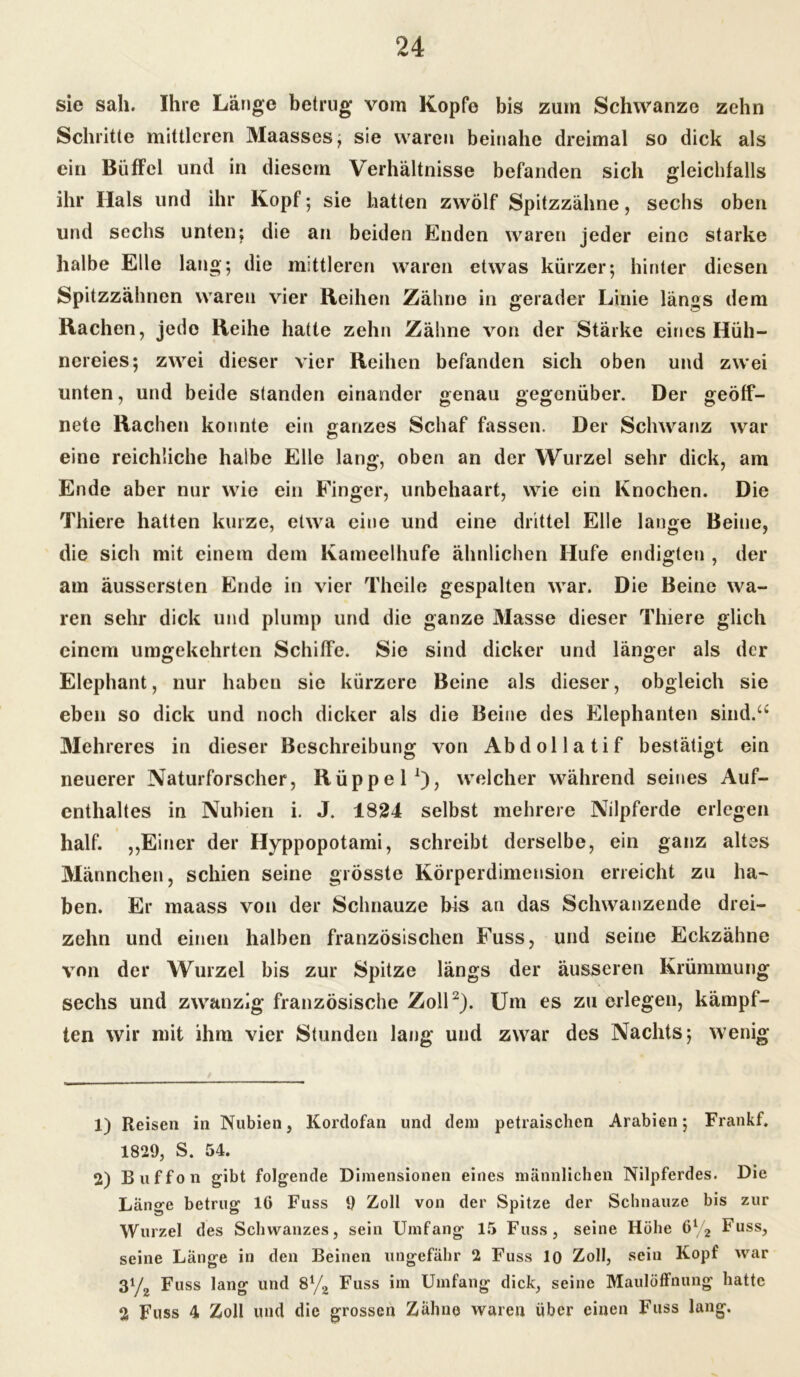 sie sah. Ihre Länge betrug vom Kopfe bis zum Schwänze zehn Schritte mittleren Maasses; sie waren beinahe dreimal so dick als ein Büffel und in diesem Verhältnisse befanden sich gleichfalls ihr Hals und ihr Kopf; sie hatten zwölf Spitzzähne, sechs oben und sechs unten; die an beiden Enden waren jeder eine starke halbe Elle lang; die mittleren waren etwas kürzer; hinter diesen Spitzzähnen waren vier Reihen Zähne in gerader Linie längs dem Rachen, jede Reihe hatte zehn Zähne von der Stärke eines Hüh- nereies; zwei dieser vier Reihen befanden sich oben und zwei unten, und beide standen einander genau gegenüber. Der geöff- nete Rachen konnte ein ganzes Schaf fassen. Der Schwanz war eine reichliche halbe Elle lang, oben an der Wurzel sehr dick, am Ende aber nur wie ein Finger, unbehaart, wie ein Knochen. Die Thiere hatten kurze, etwa eine und eine drittel Elle lange Beine, die sich mit einem dem Kameelhufe ähnlichen Hufe endigten , der am äussersten Ende in vier Theile gespalten war. Die Beine wa- ren sehr dick und plump und die ganze Masse dieser Thiere glich einem umgekehrten Schiffe. Sie sind dicker und länger als der Elephant, nur haben sie kürzere Beine als dieser, obgleich sie eben so dick und noch dicker als die Beine des Elephanten sind.“ Mehreres in dieser Beschreibung von Abdollatif bestätigt ein neuerer Naturforscher, Rüppel1), welcher während seines Auf- enthaltes in Nubien i. J. 1824 selbst mehrere Nilpferde erlegen half. „Einer der Ilyppopotami, schreibt derselbe, ein ganz altes Männchen, schien seine grösste Körperdimension erreicht zu ha- ben. Er maass von der Schnauze bis an das Schwanzende drei- zehn und einen halben französischen Fuss, und seine Eckzähne von der Wurzel bis zur Spitze längs der äusseren Krümmung sechs und zwanzig französische Zoll2). Um es zu erlegen, kämpf- ten wir mit ihm vier Stunden lang und zwar des Nachts; wenig 1) Reisen in Nubien, Kordofan und dem petraisclien Arabien; Frankf. 1829, S. 54. 2) Buffo n gibt folgende Dimensionen eines männlichen Nilpferdes. Die Länge betrug 16 Fuss 9 Zoll von der Spitze der Schnauze bis zur Wurzel des Schwanzes, sein Umfang 15 Fuss, seine Höhe ö1/^ Fuss, seine Länge in den Beinen ungefähr 2 Fuss 10 Zoll, sein Kopf war 31/2 Fuss lang und Sl/2 Fuss im Umfang dick, seine Maulöffnung hatte 2 Fuss 4 Zoll und die grossen Zähne waren über einen Fuss lang.