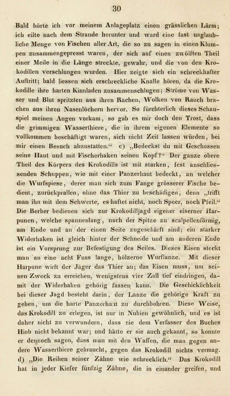 Bald hörte ich vor meinem Anlageplatz einen grässlichen Lärm; ich eilte nach dem Strande herunter und ward eine fast unglaub- liche Menge von Fischen aller Art, die so zu sagen in einen Klum- pen zusammengepresst waren, der sich auf einen zwölften Theil einer Meile in die Länge streckte, gewahr, und die von den Kro- kodillen verschlungen wurden. Hier zeigte sich ein schreckhafter Auftritt; bald liessen sich erschreckliche Knalle hören, da die Kro- kodille ihre harten Kinnladen zusammenschlugen; Ströme von Was- ser und Blut spritzten aus ihren Rachen, Wolken von Rauch bra- chen aus ihren Nasenlöchern hervor. So fürchterlich dieses Schau- spiel meinen Augen vorkam, so gab es mir doch den Trost, dass die grimmigen Wasserthiere, die in ihrem eigenen Elemente so vollkommen beschäftigt waren, sich nicht Zeit lassen würden, bei mir einen Besuch abzustatten.“ c) „Bedeckst du mit Geschossen seine Haut und mit Fischerhaken seinen Kopf?“ Der ganze obere Theil des Körpers des Krokodills ist mit starken, fest anschlies- senden Schuppen, wie mit einer Panzerhaut bedeckt, an welcher die Wurfspiese, derer man sich zum Fange grösserer Fische be- / dient, zurückprallen, ohne das Thier zu beschädigen, denn „trifft man ihn mit dem Schwerte, es haftet nicht, noch Speer, noch Pfeil.“ Die Berber bedienen sich zur Krokodilljagd eigener eiserner Har- punen, welche spannenlang, nach der Spitze zu scalpellenförmig, am Ende und an der einen Seite zugeschärft sind; ein starker Widerhaken ist gleich hinter der Schneide und am anderen Ende ist ein Vorsprung zur Befestigung des Seiles. Dieses Eisen steckt man an eine acht Fuss lange, hölzerne Wurflanzc. Mit dieser Harpune wirft der Jäger das Thier an; das Eisen muss, um sei- nen Zweck zu erreichen, wenigstens vier Zoll tief eindringen, da- mit der Widerhaken gehörig fassen kann. Die Geschicklichkeit bei dieser Jagd besteht darin, der Lanze die gehörige Kraft zu geben, um die harte Panzerha.it zu durchbohren. Diese Weise, das Krokodill zu erlegen, ist nur in Nubien gewöhnlich, und es ist daher nicht zu verwundern, dass sie dem Verfasser des Buches Hiob nicht bekannt war; und hätte er sie auch gekannt, so konnte er dennoch sagen, dass man mit den Waffen, die man gegen an- dere Wasserthiere gebraucht, gegen das Krokodill nichts vermag, d) „Die Reihen seiner Zähne wie schrecklich.“ Das Krokodill hat in jeder Kiefer fünfzig Zähne? die in einander greifen, und