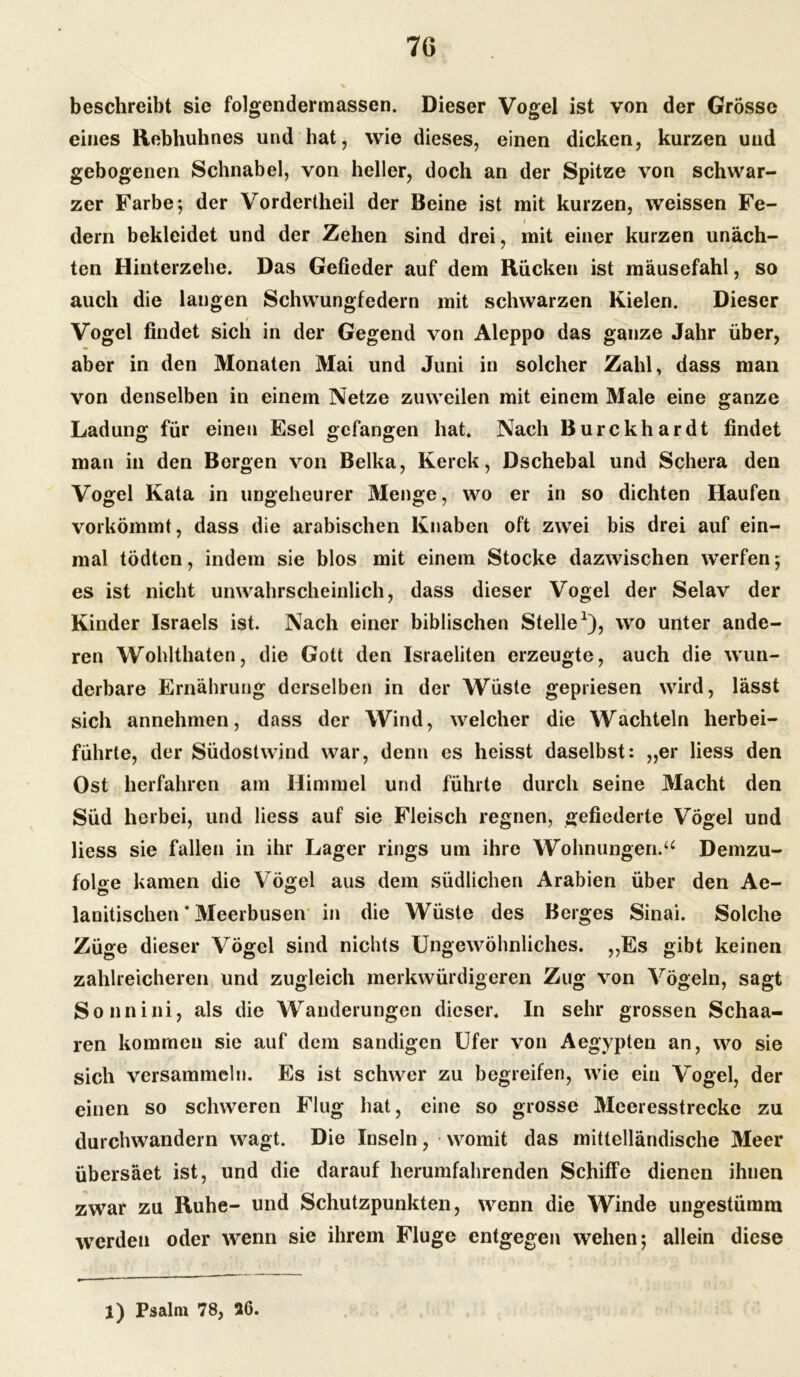 beschreibt sie folgendermassen. Dieser Vogel ist von der Grösse eines Rebhuhnes und hat, wie dieses, einen dicken, kurzen uud gebogenen Schnabel, von heller, doch an der Spitze von schwar- zer Farbe; der Vordertheil der Beine ist mit kurzen, weissen Fe- i dern bekleidet und der Zehen sind drei, mit einer kurzen unäch- ten Hinterzehe. Das Gefieder auf dem Rücken ist mäusefahl, so auch die langen Schwungfedern mit schwarzen Kielen. Dieser Vogel findet sich in der Gegend von Aleppo das ganze Jahr über, aber in den Monaten Mai und Juni in solcher Zahl, dass man von denselben in einem Netze zuweilen mit einem Male eine ganze Ladung für einen Esel gefangen hat. Nach Burckhardt findet man in den Bergen von Belka, Kerck, Dschebal und Schera den Vogel Kata in ungeheurer Menge, wo er in so dichten Haufen vorkömmt, dass die arabischen Knaben oft zwei bis drei auf ein- mal tödten, indem sie blos mit einem Stocke dazwischen werfen; es ist nicht unwahrscheinlich, dass dieser Vogel der Selav der Kinder Israels ist. Nach einer biblischen Stelle1), wo unter ande- ren Wohlthaten, die Gott den Israeliten erzeugte, auch die wun- derbare Ernährung derselben in der Wüste gepriesen wird, lässt sich annehmen, dass der Wind, welcher die Wachteln herbei- führte, der Südostwind war, denn es heisst daselbst: „er liess den Ost herfahren am Himmel und führte durch seine Macht den Süd herbei, und liess auf sie Fleisch regnen, gefiederte Vögel und liess sie fallen in ihr Lager rings um ihre Wohnungen.“ Demzu- folge kamen die Vögel aus dem südlichen Arabien über den Ae- lanitischerr Meerbusen in die Wüste des Berges Sinai. Solche Züge dieser Vögel sind nichts Ungewöhnliches. „Es gibt keinen zahlreicheren und zugleich merkwürdigeren Zug von Vögeln, sagt Sonnini, als die Wanderungen dieser. In sehr grossen Schaa- ren kommen sie auf dem sandigen Ufer von Aegypten an, wo sie sich versammeln. Es ist schwer zu begreifen, wie ein Vogel, der einen so schweren Flug hat, eine so grosse Meeresstreckc zu durchwandern wagt. Die Inseln, womit das mittelländische Meer übersäet ist, und die darauf herumfahrenden Schiffe dienen ihnen zwar zu Ruhe- und Schutzpunkten, wenn die Winde ungestümm werden oder wenn sie ihrem Fluge entgegen wehen; allein diese 1) Psalm 78, 26.