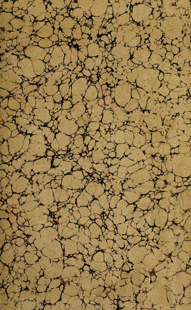 digitised image 3