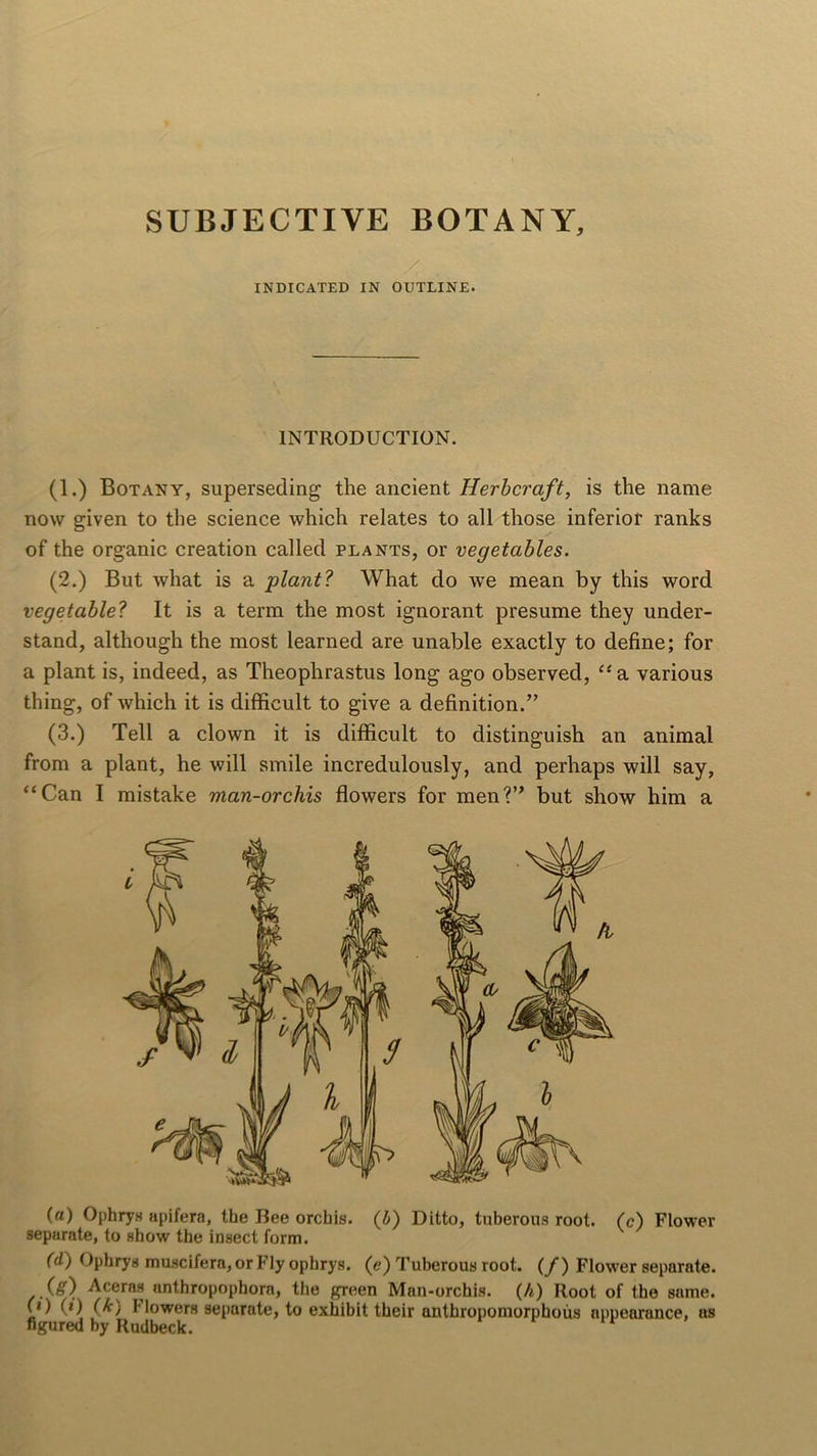 SUBJECTIVE BOTANY, INDICATED IN OUTLINE. INTRODUCTION. (1.) Botany, superseding the ancient Herbcraft, is the name now given to the science which relates to all those inferior ranks of the organic creation called plants, or vegetables. (2.) But what is a plant? What do we mean by this word vegetable? It is a term the most ignorant presume they under- stand, although the most learned are unable exactly to define; for a plant is, indeed, as Theophrastus long ago observed, “a various thing, of which it is difficult to give a definition.” (3.) Tell a clown it is difficult to distinguish an animal from a plant, he will smile incredulously, and perhaps will say, “Can I mistake man-orchis flowers for men?” but show him a («) Ophrys apifera, the Bee orchis. (b) Ditto, tuberous root. (c) Flower separate, to show the insect form. (d) Ophrys muscifera, or Fly ophrys. (e) Tuberous root, (f) Flower separate. Of) Aceras anthropophora, the green Man-orchis, (h) Root of the same. 0) (*) (^) flowers separate, to exhibit their anthropomorphous appearance, as figured by Rudbeck.