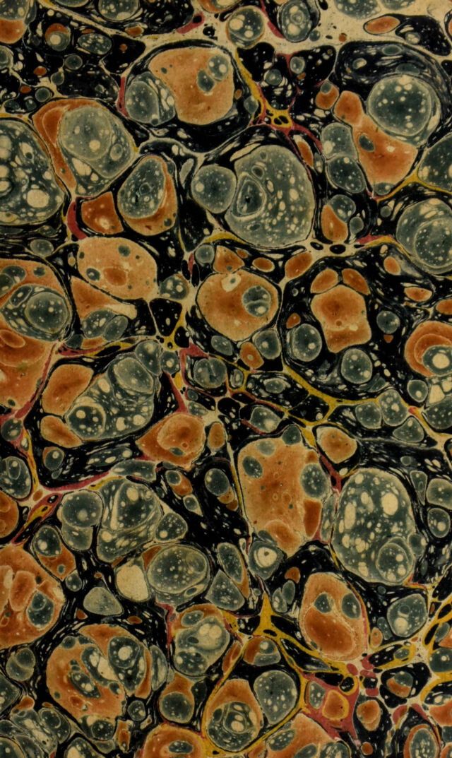 No text description is available for this image