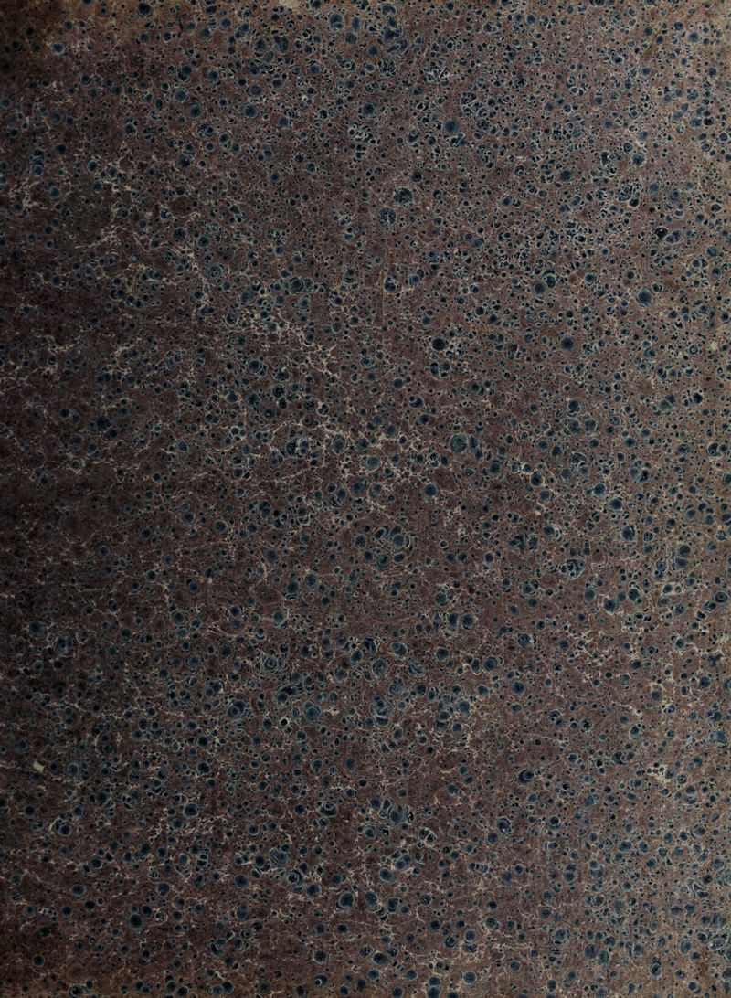 jSwgp v V; 'i'iïsg&E - • -•i/' . . -.. « *■ ■• • WiMmm wwé, .«Ol i- . M . ' <.üt ;4$*£S M